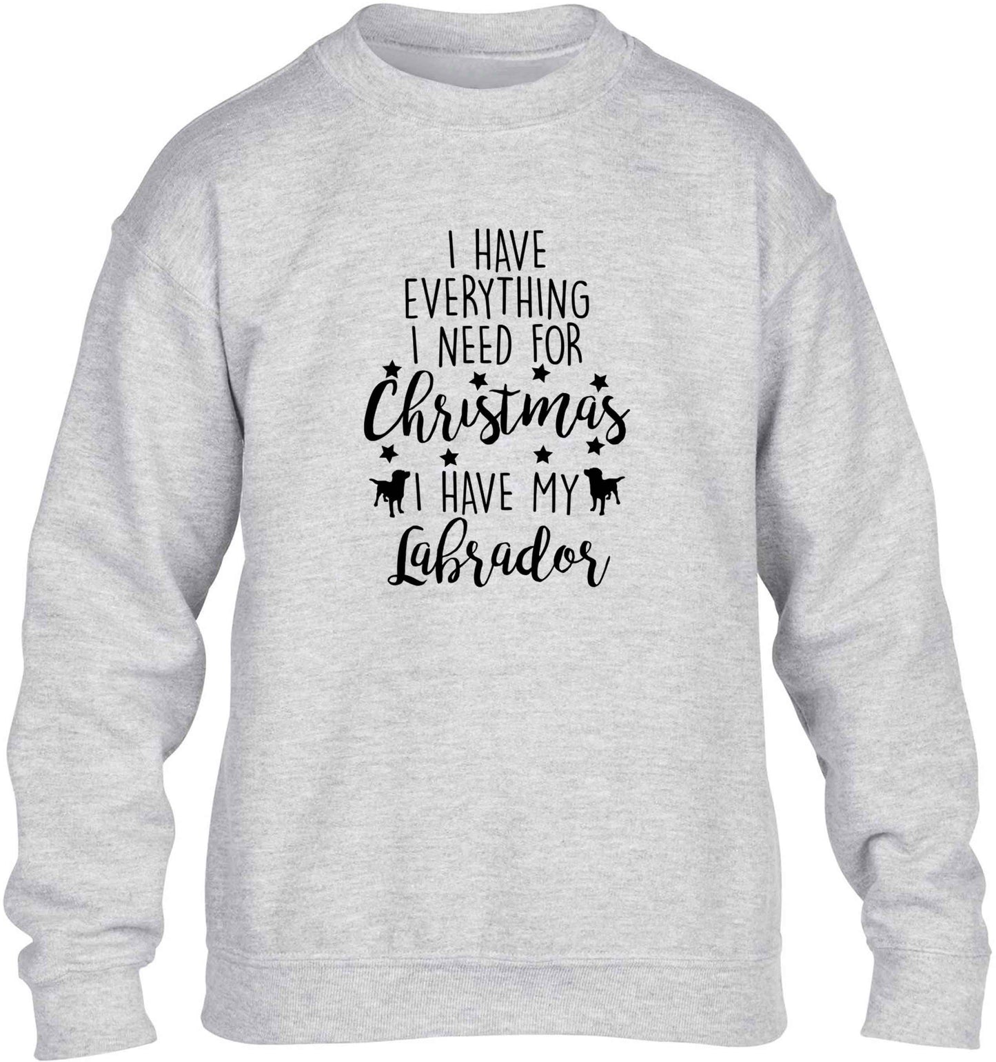 I have everything I need for Christmas I have my labrador children's grey sweater 12-13 Years
