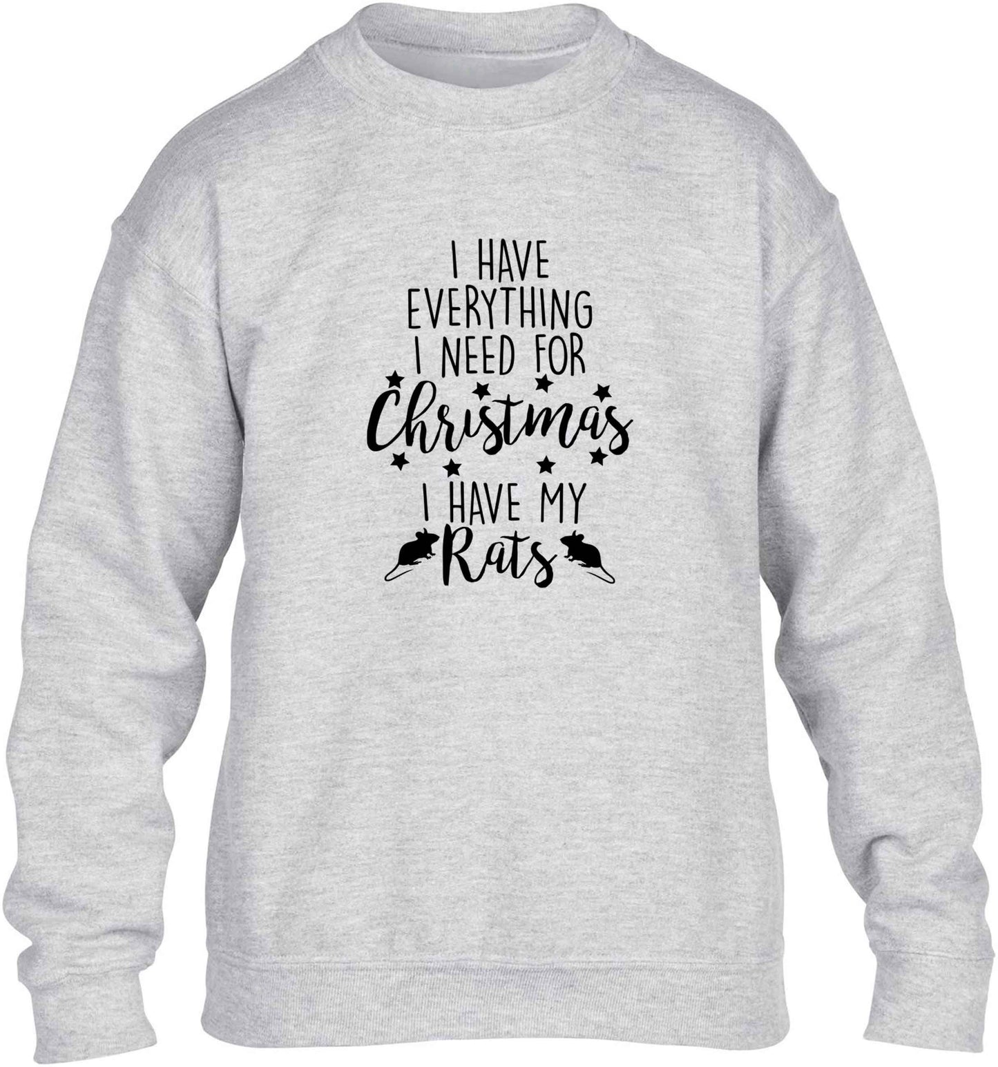 I have everything I need for Christmas I have my rats children's grey sweater 12-13 Years