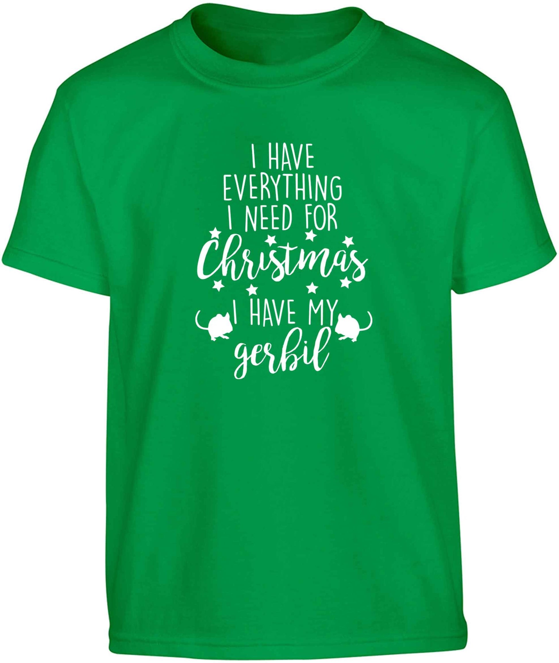 I have everything I need for Christmas I have my gerbil Children's green Tshirt 12-13 Years