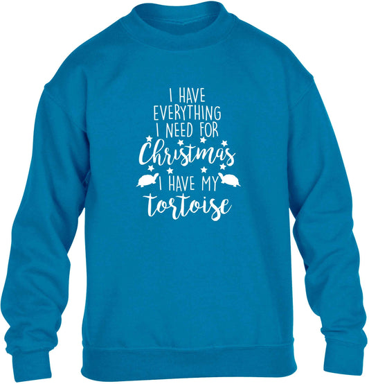 I have everything I need for Christmas I have my tortoise children's blue sweater 12-13 Years