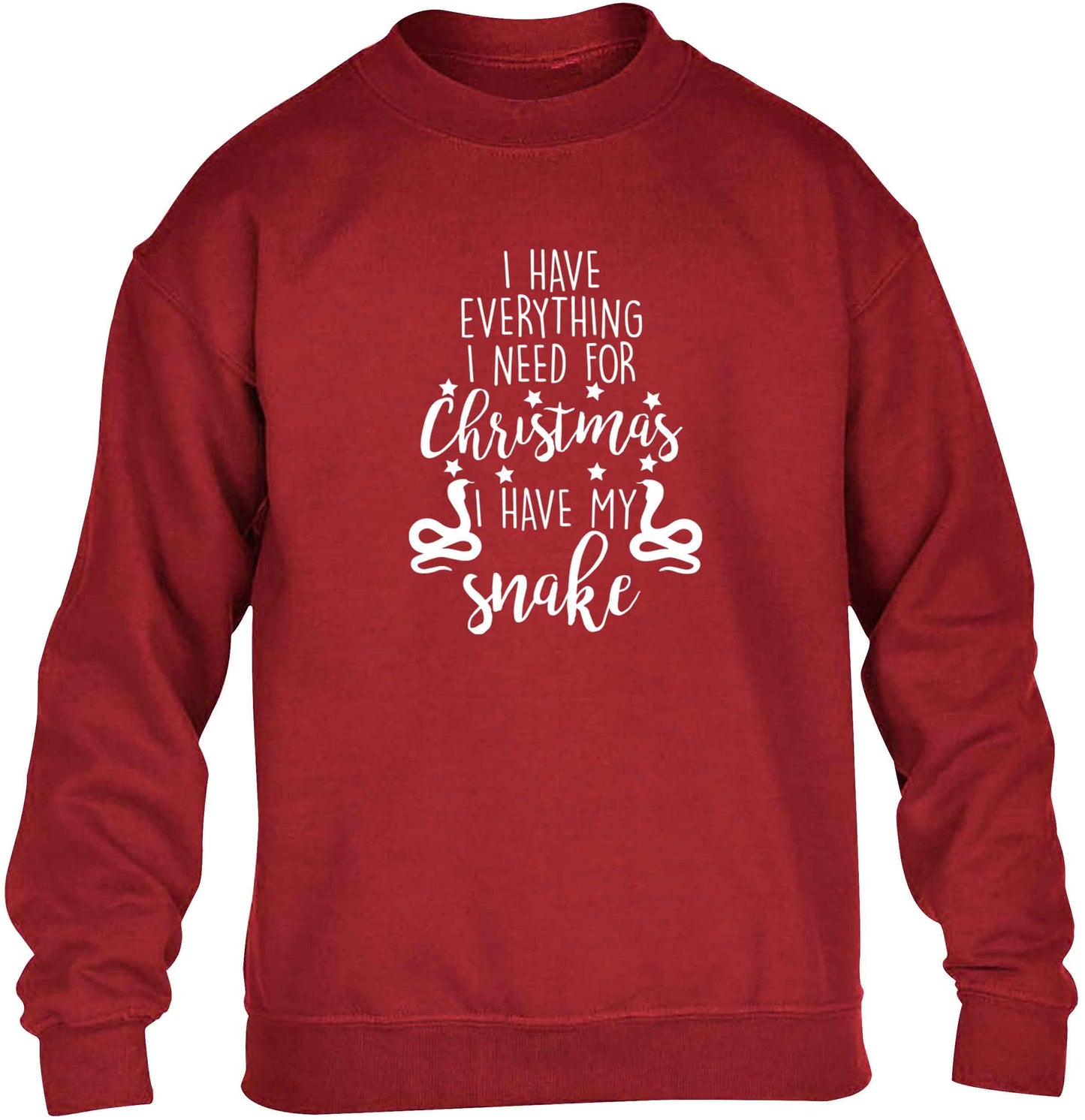 I have everything I need for Christmas I have my snake children's grey sweater 12-13 Years