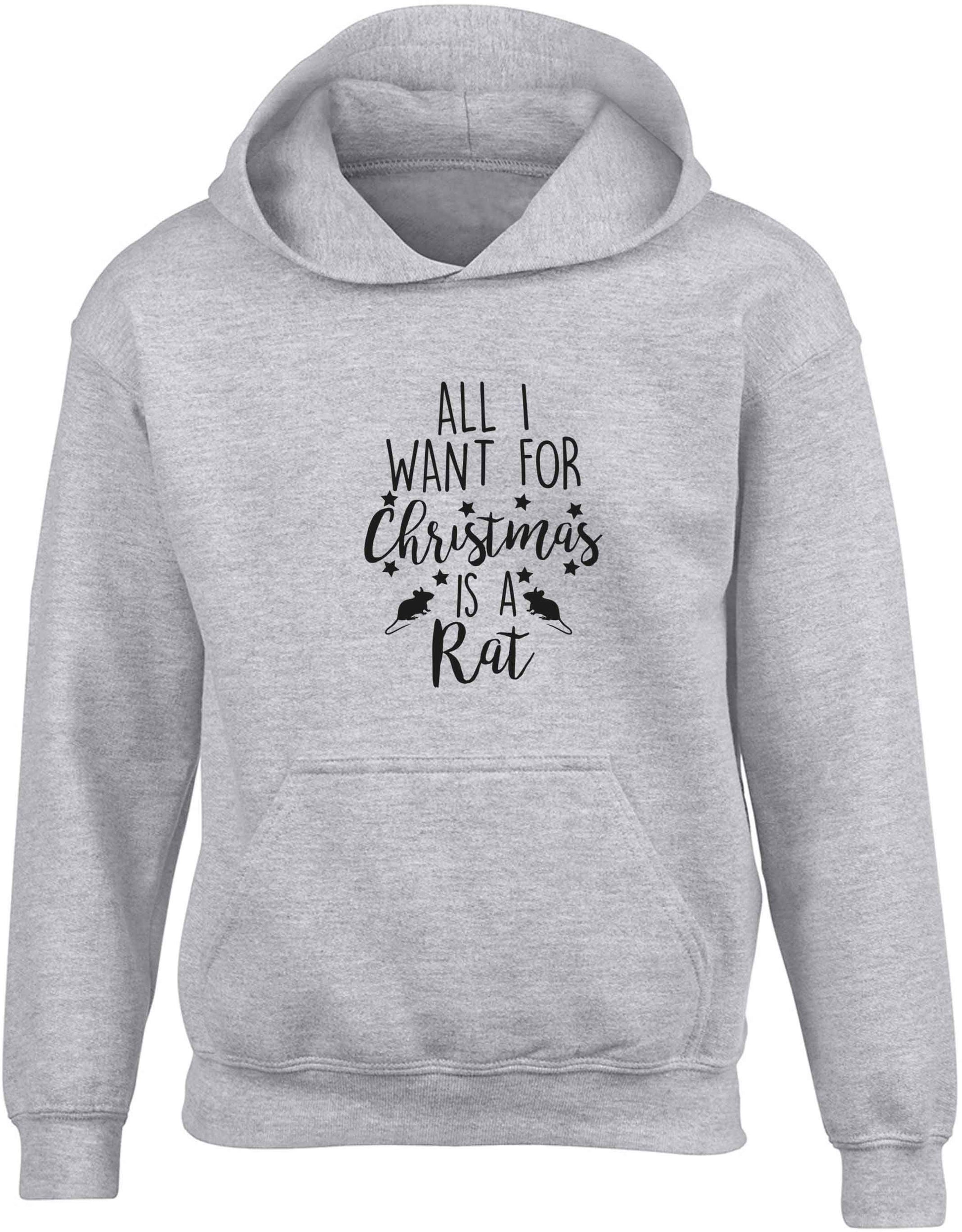 All I want for Christmas is a rat children's grey hoodie 12-13 Years