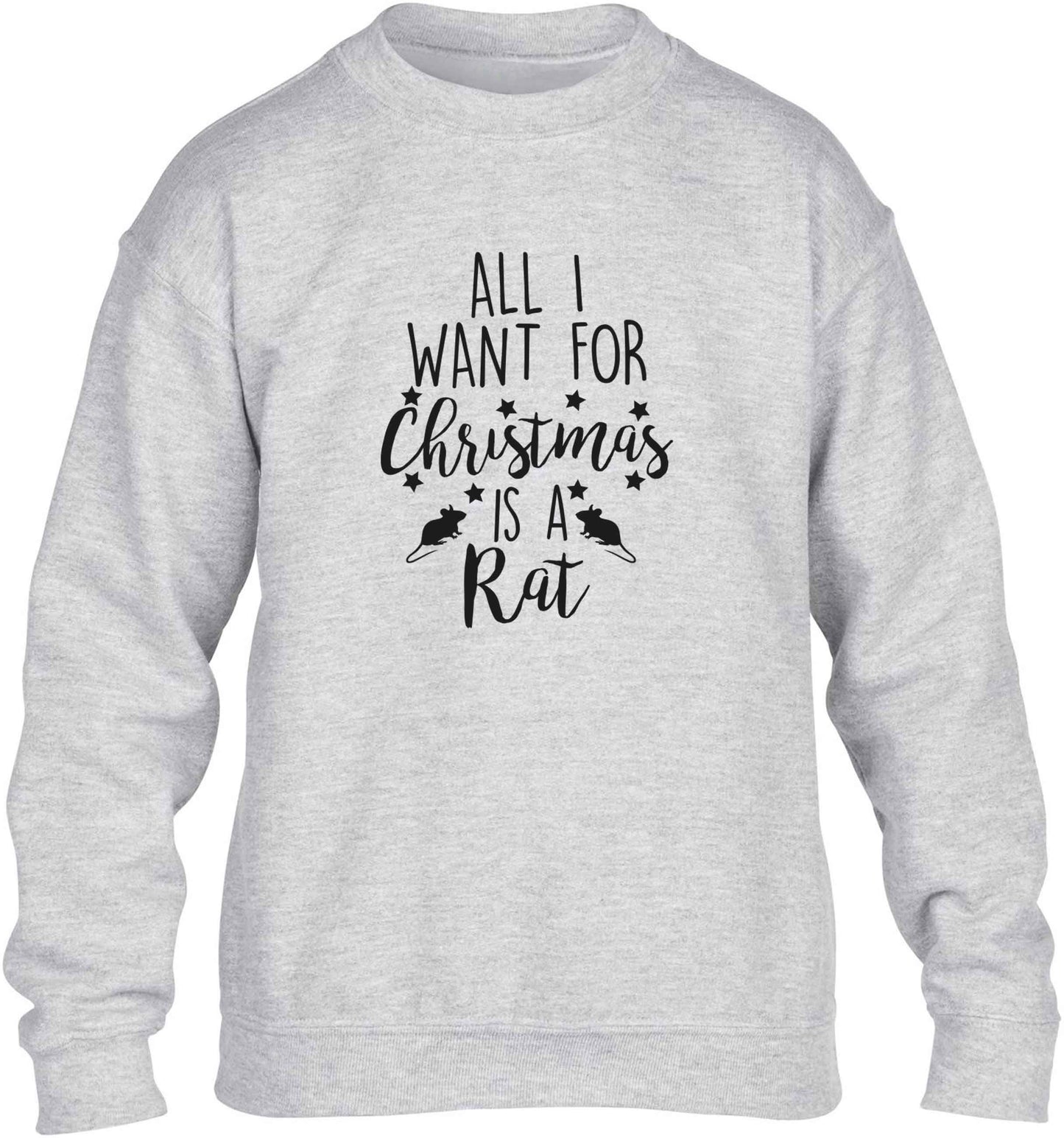 All I want for Christmas is a rat children's grey sweater 12-13 Years