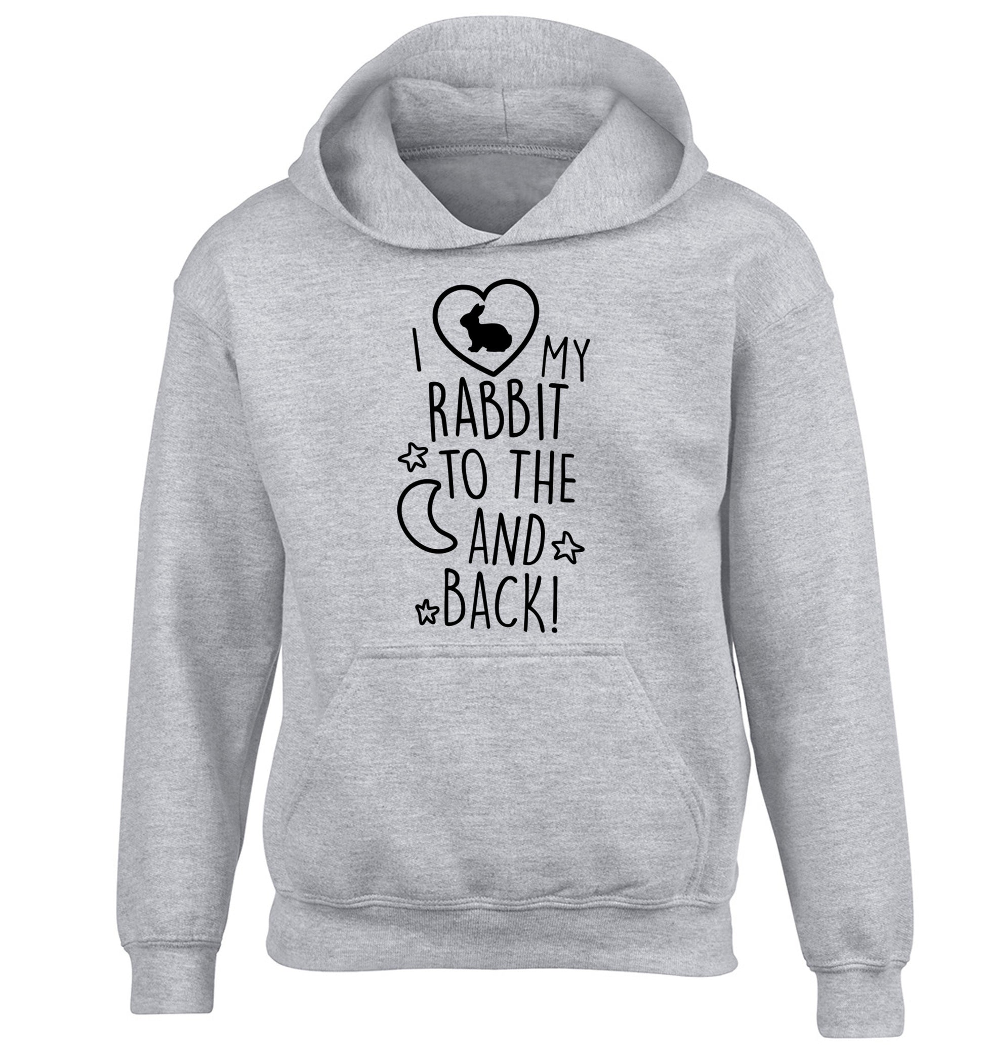 I love my rabbit to the moon and back children's grey hoodie 12-14 Years