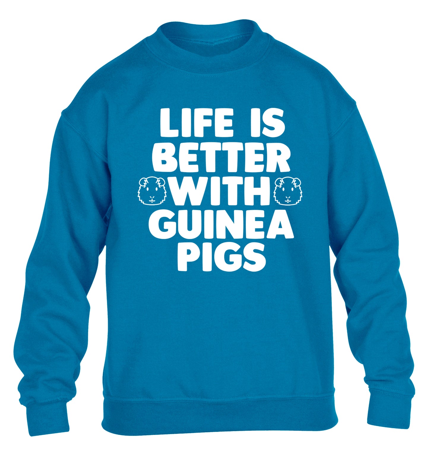 Life is better with guinea pigs children's blue  sweater 12-14 Years