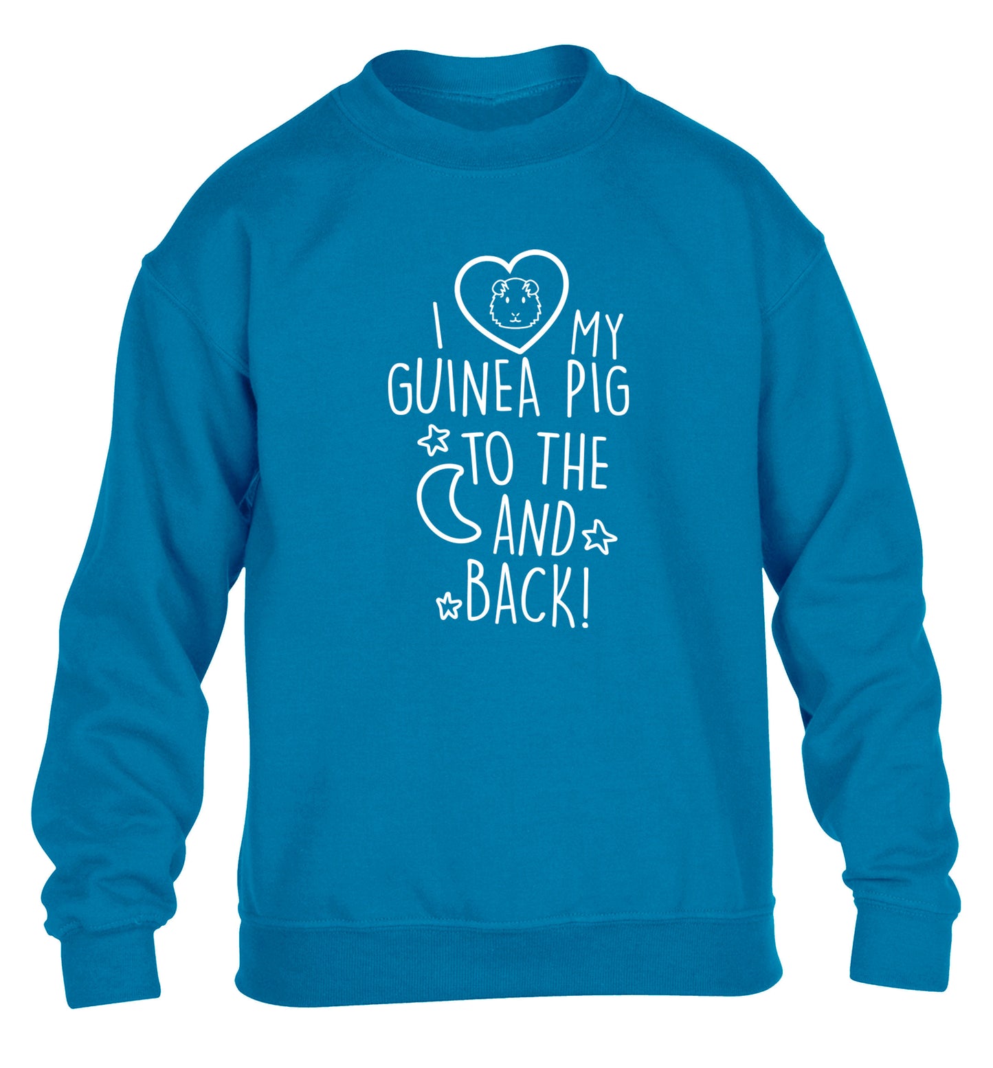 I love my guinea pig to the moon and back children's blue  sweater 12-14 Years