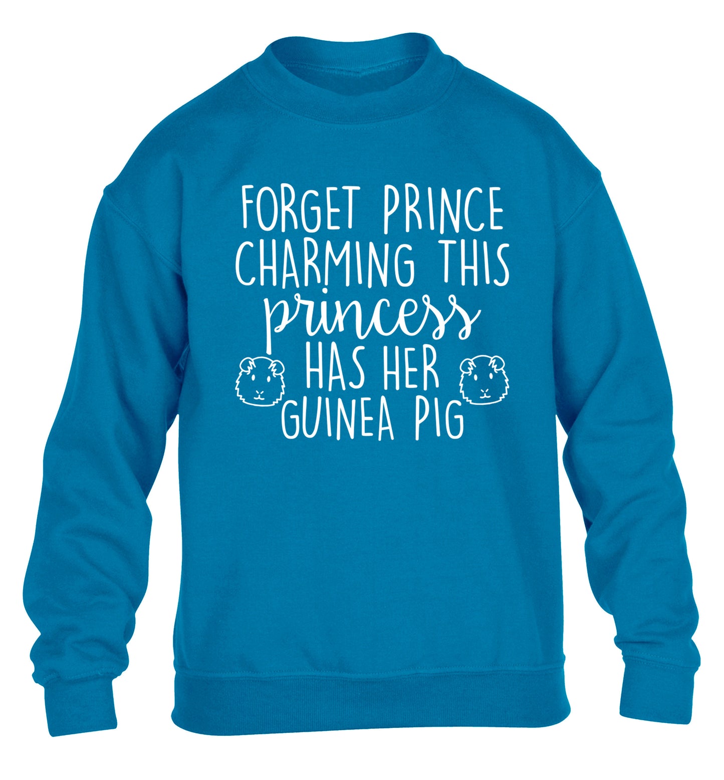 Forget prince charming, I have my guinea pig children's blue  sweater 12-14 Years