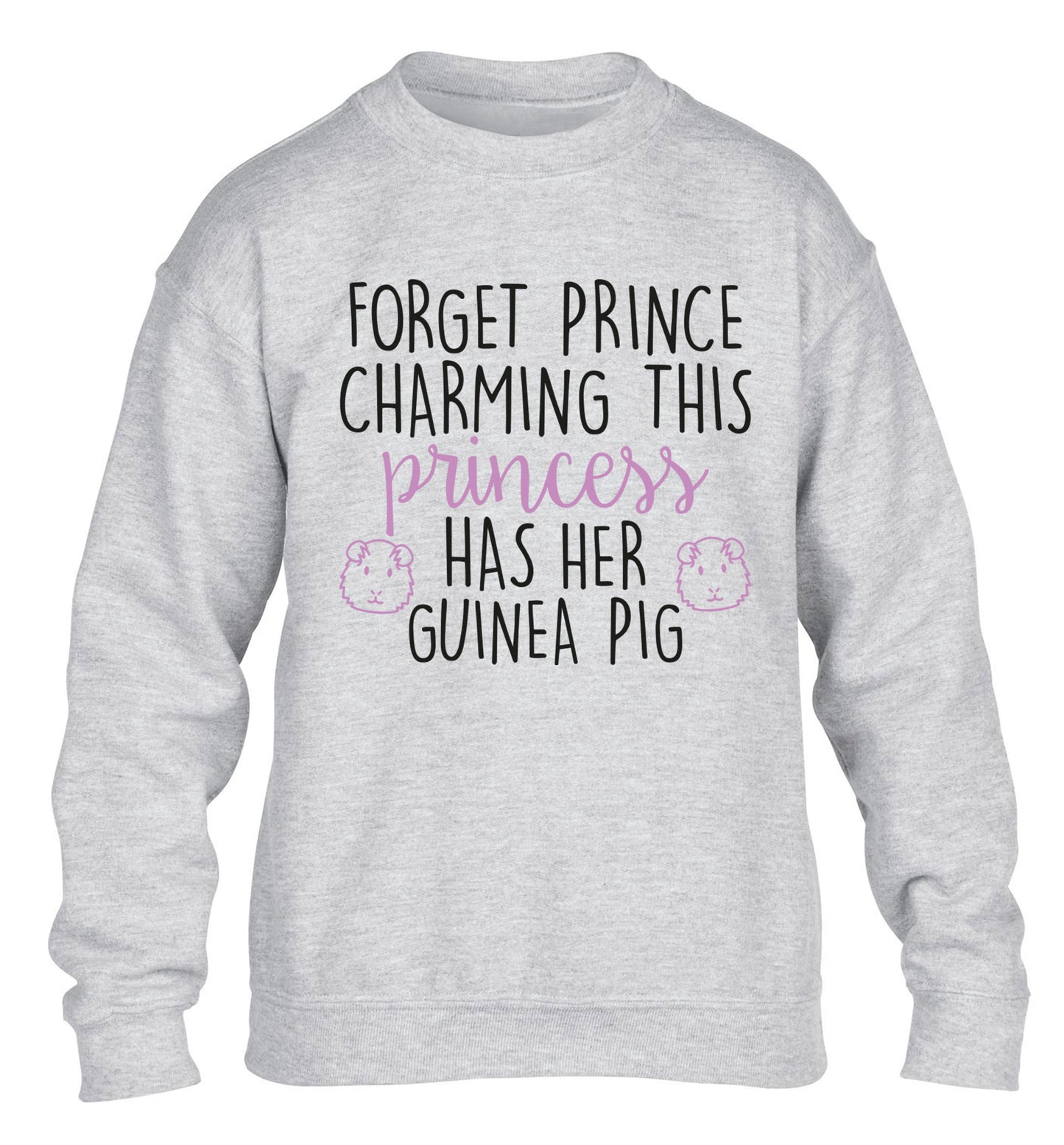 Forget prince charming, I have my guinea pig children's grey  sweater 12-14 Years