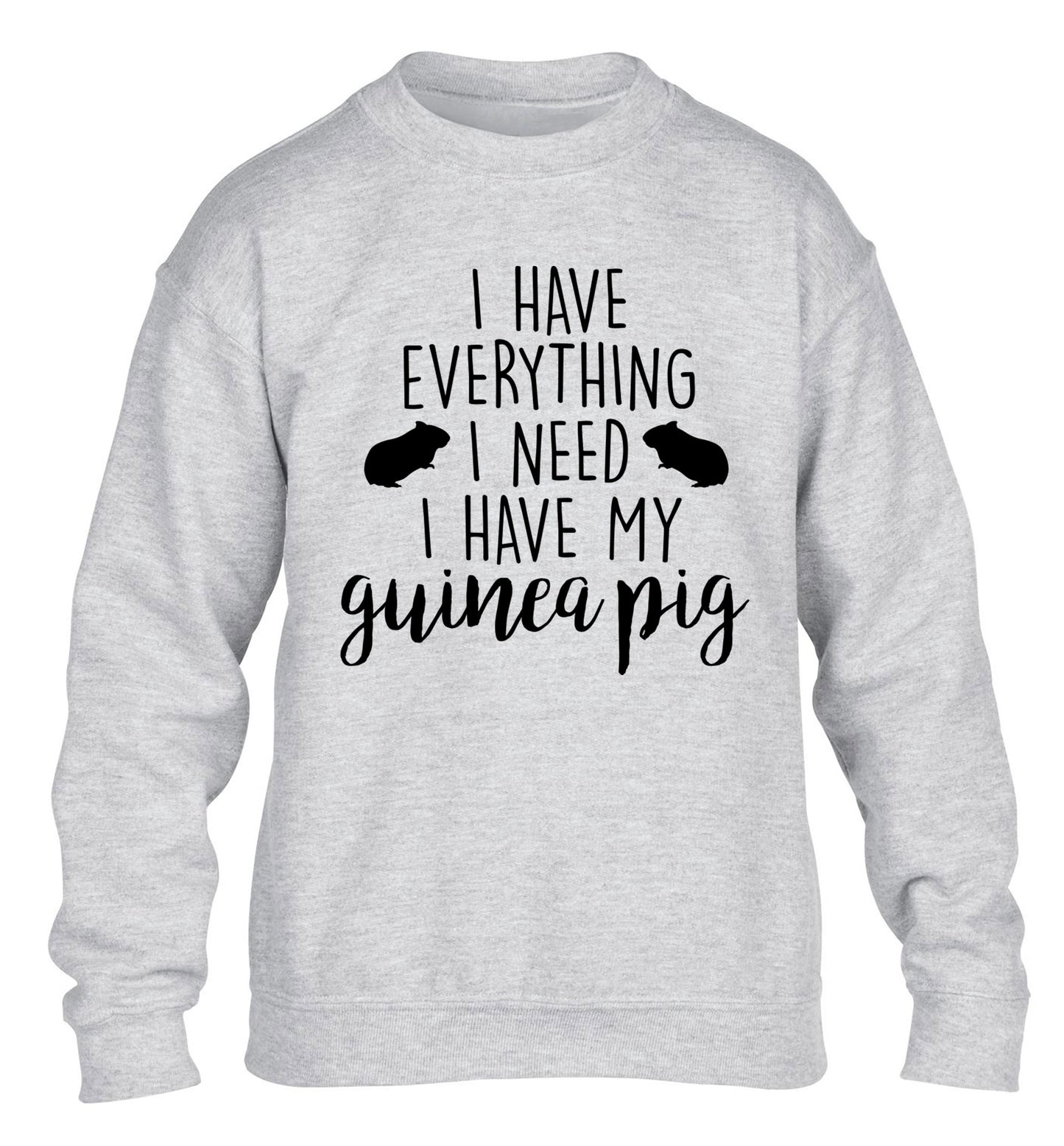 I have everything I need, I have my guinea pig children's grey  sweater 12-14 Years