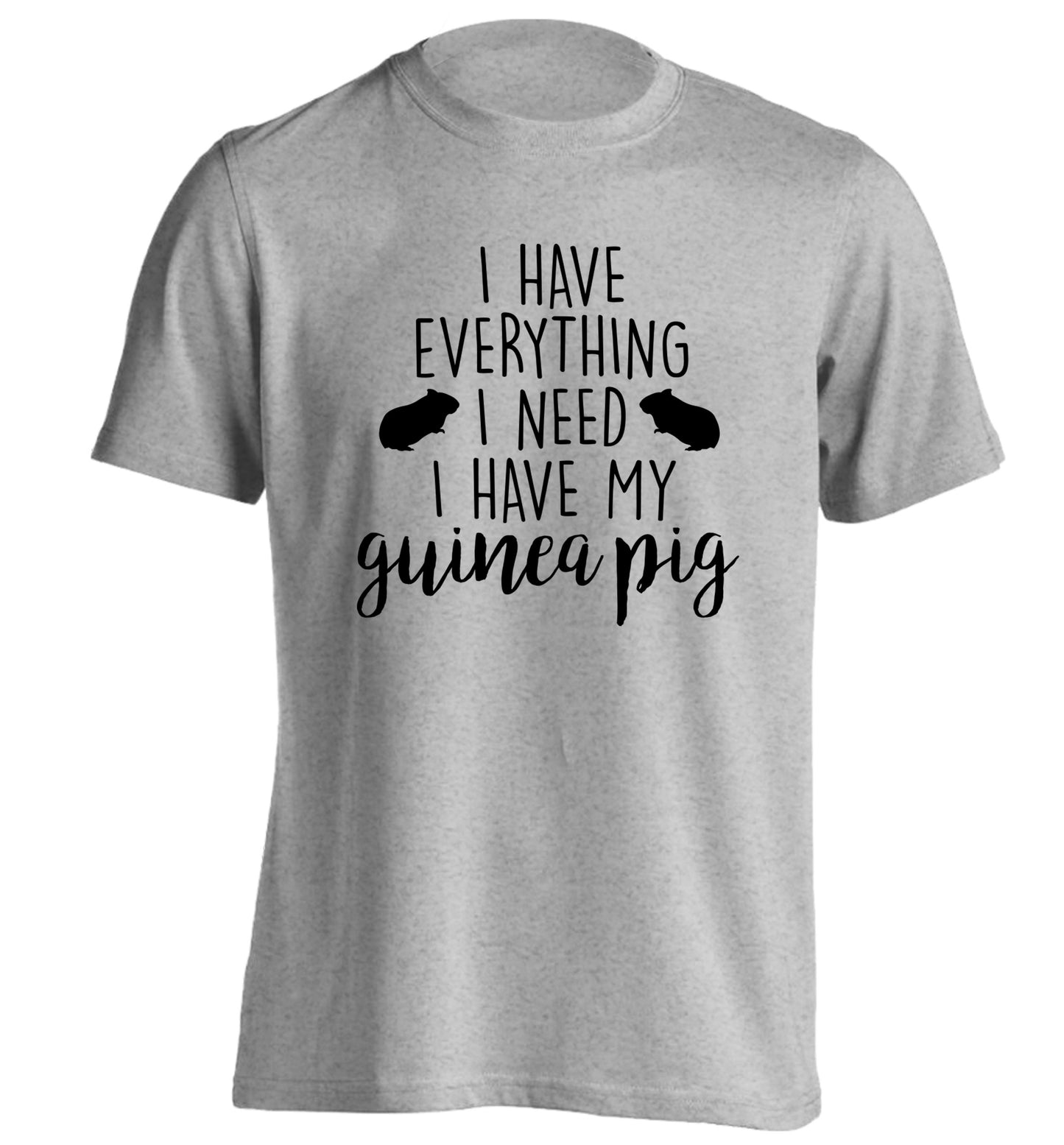 I have everything I need, I have my guinea pig adults unisex grey Tshirt 2XL