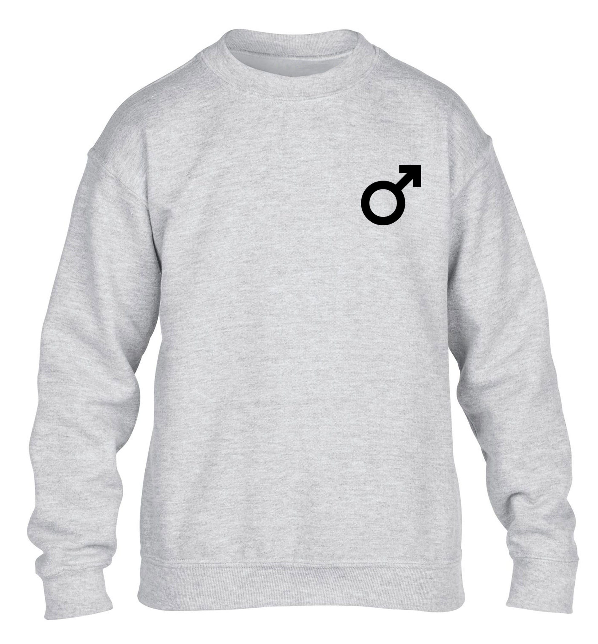 Male symbol pocket children's grey sweater 12-14 Years
