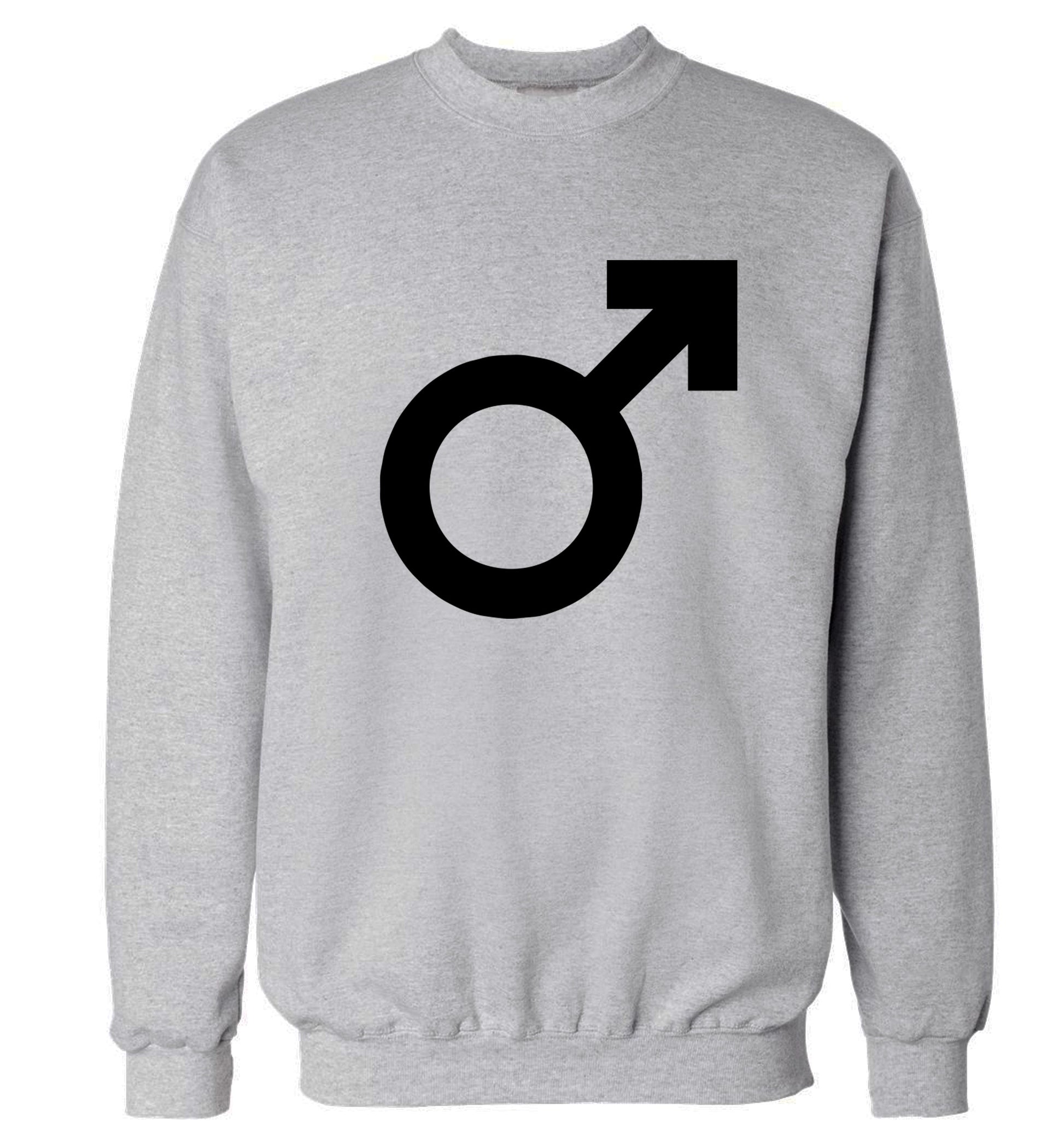 Male symbol large Adult's unisex grey Sweater 2XL