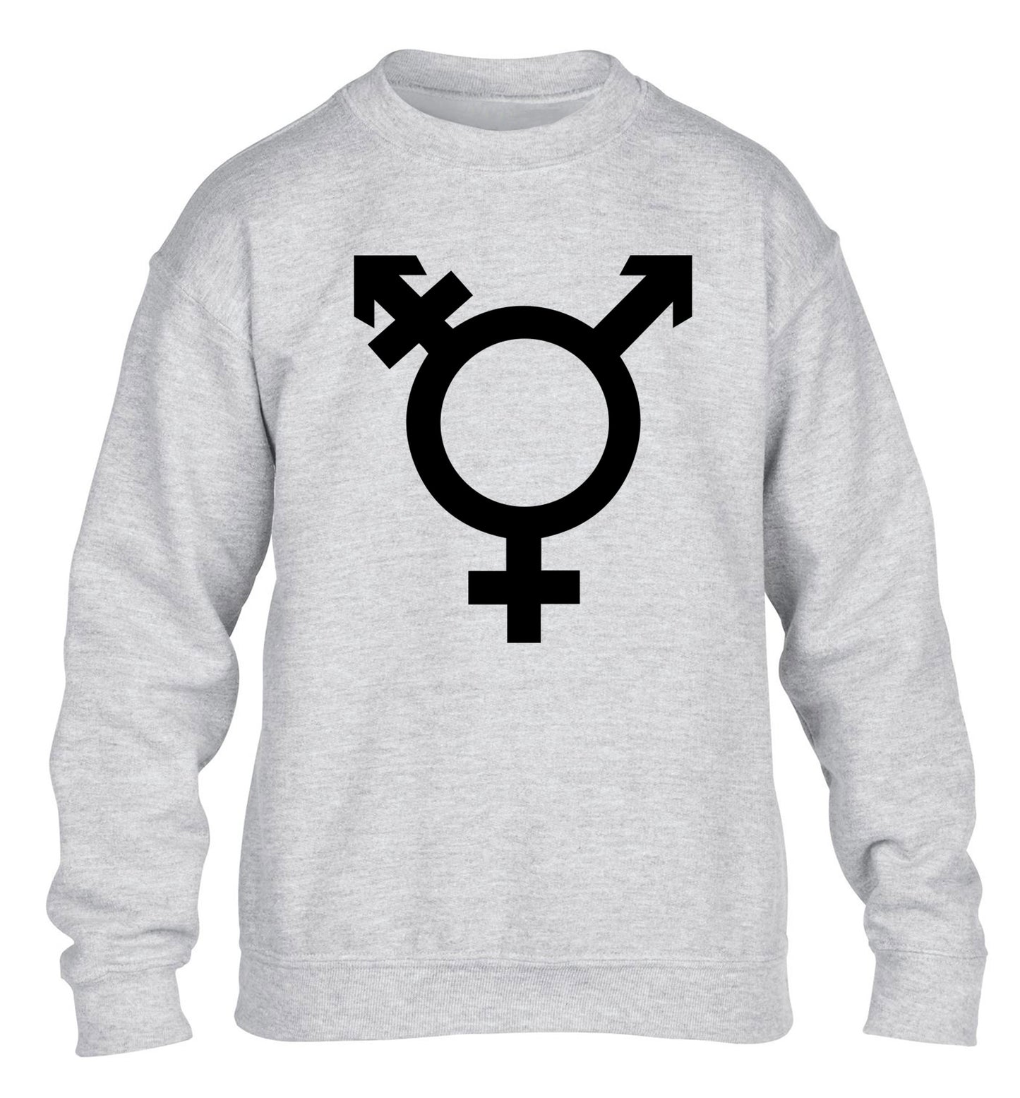 Gender neutral symbol large children's grey sweater 12-14 Years