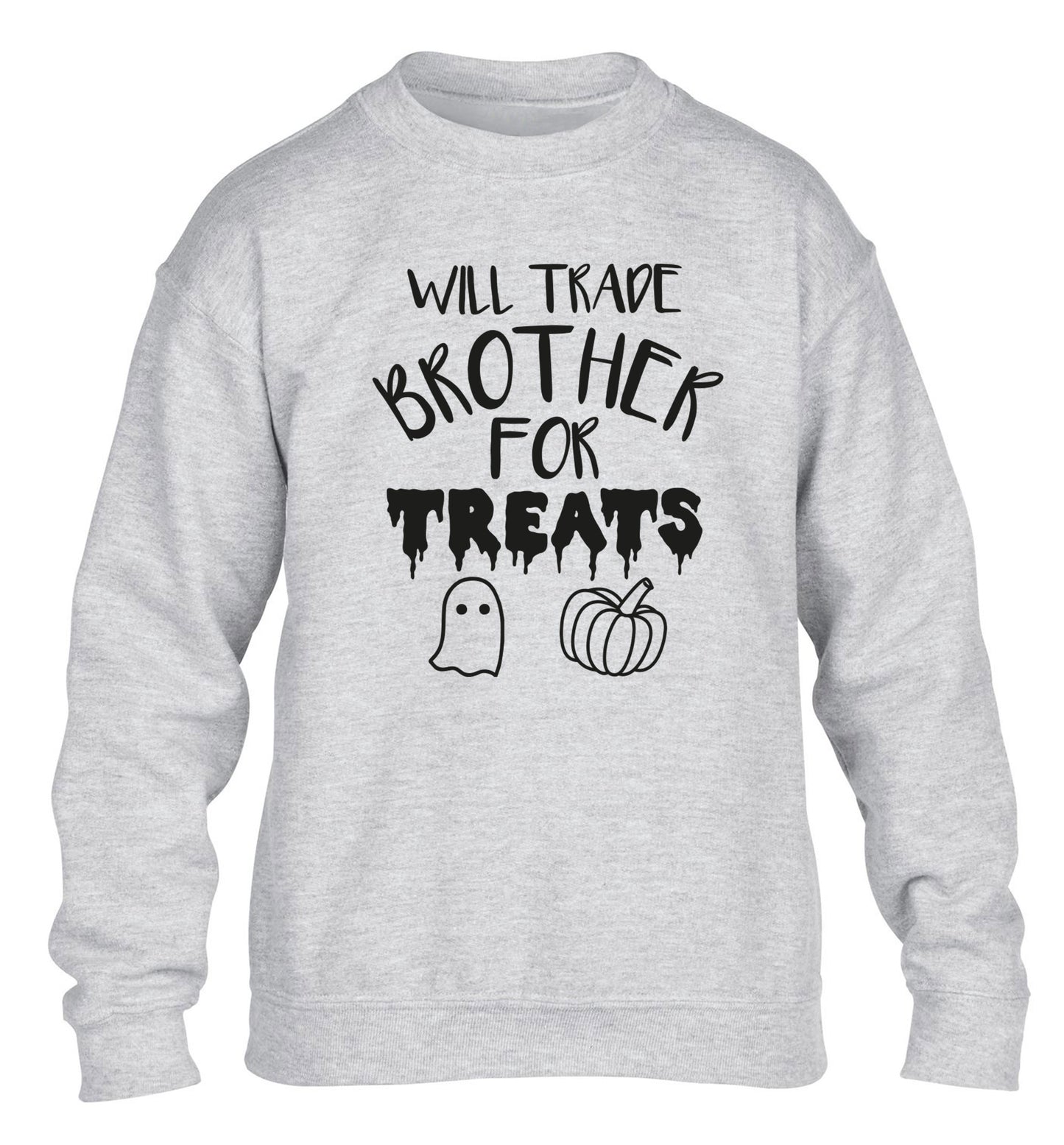 Will trade brother for treats children's grey sweater 12-14 Years