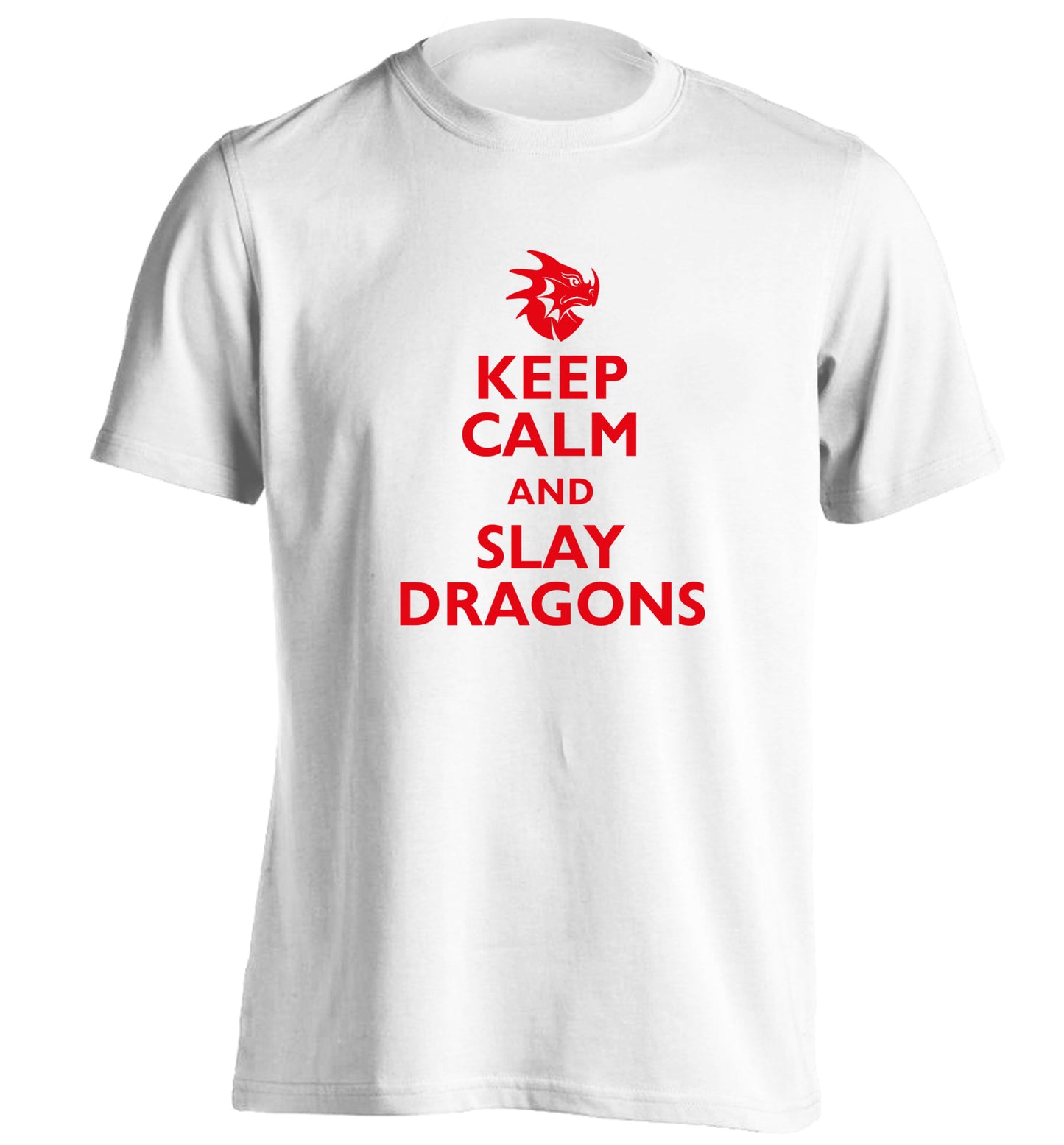 Keep calm and slay dragons adults unisex white Tshirt 2XL