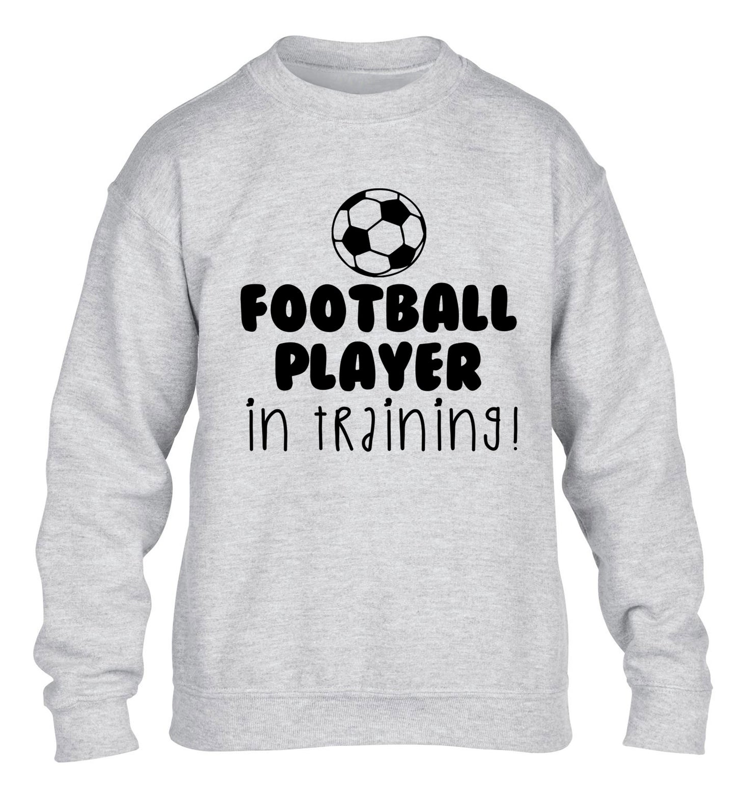 Football player in training children's grey sweater 12-14 Years
