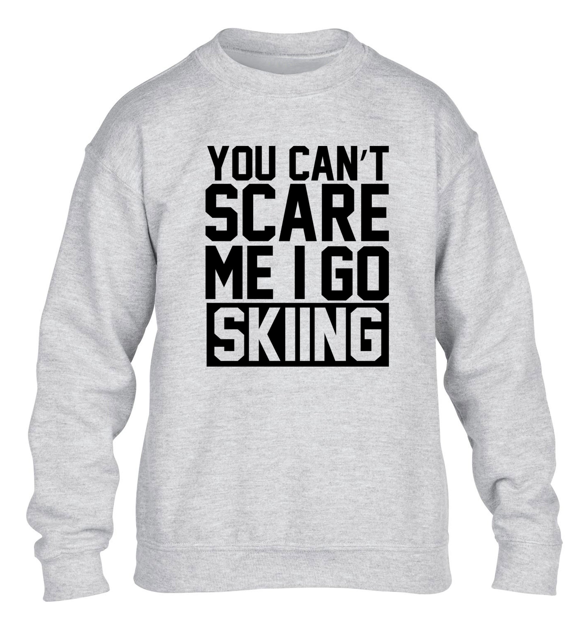 You can't scare me I go skiing children's grey sweater 12-14 Years