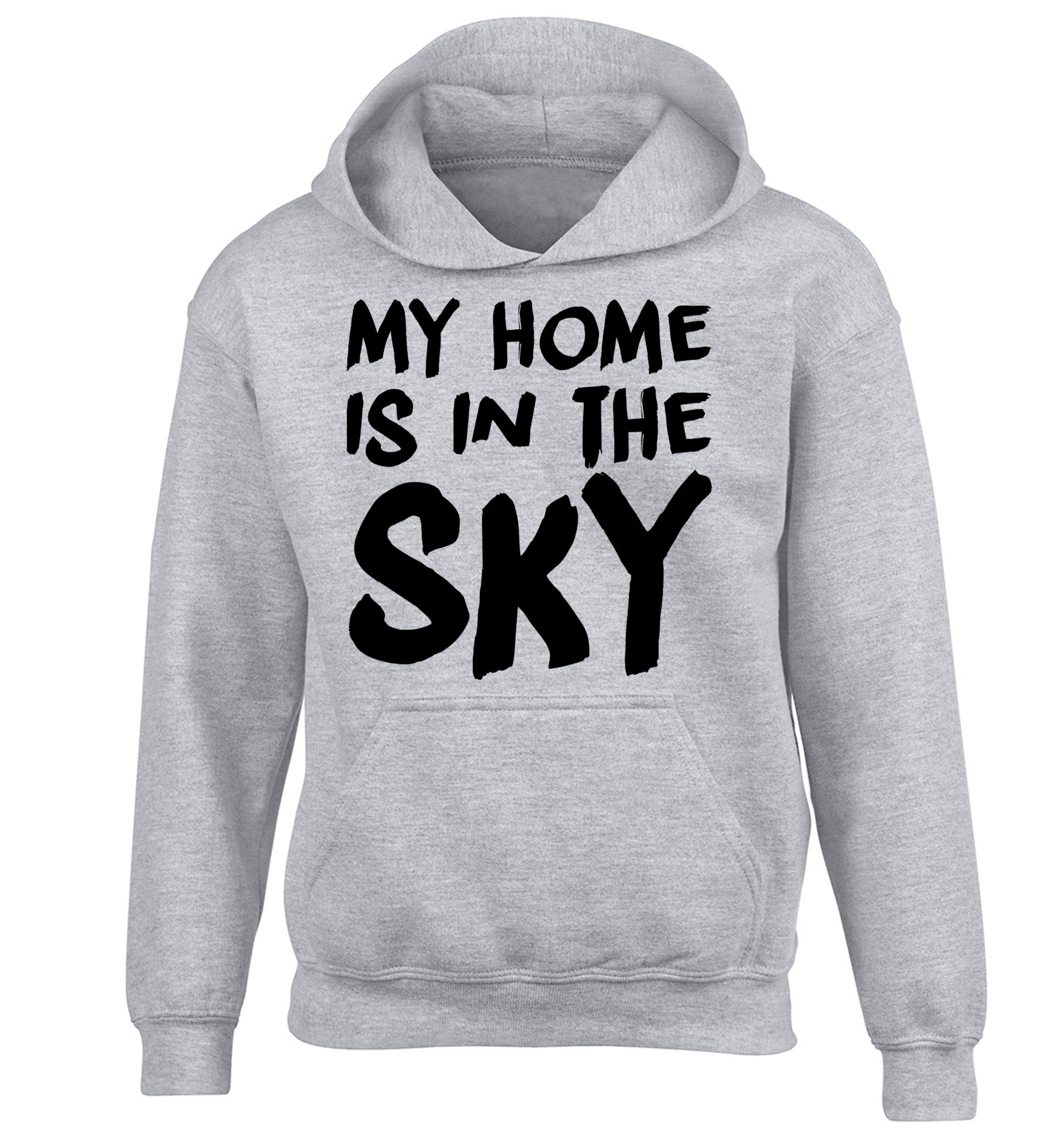 My home is in the sky children's grey hoodie 12-14 Years