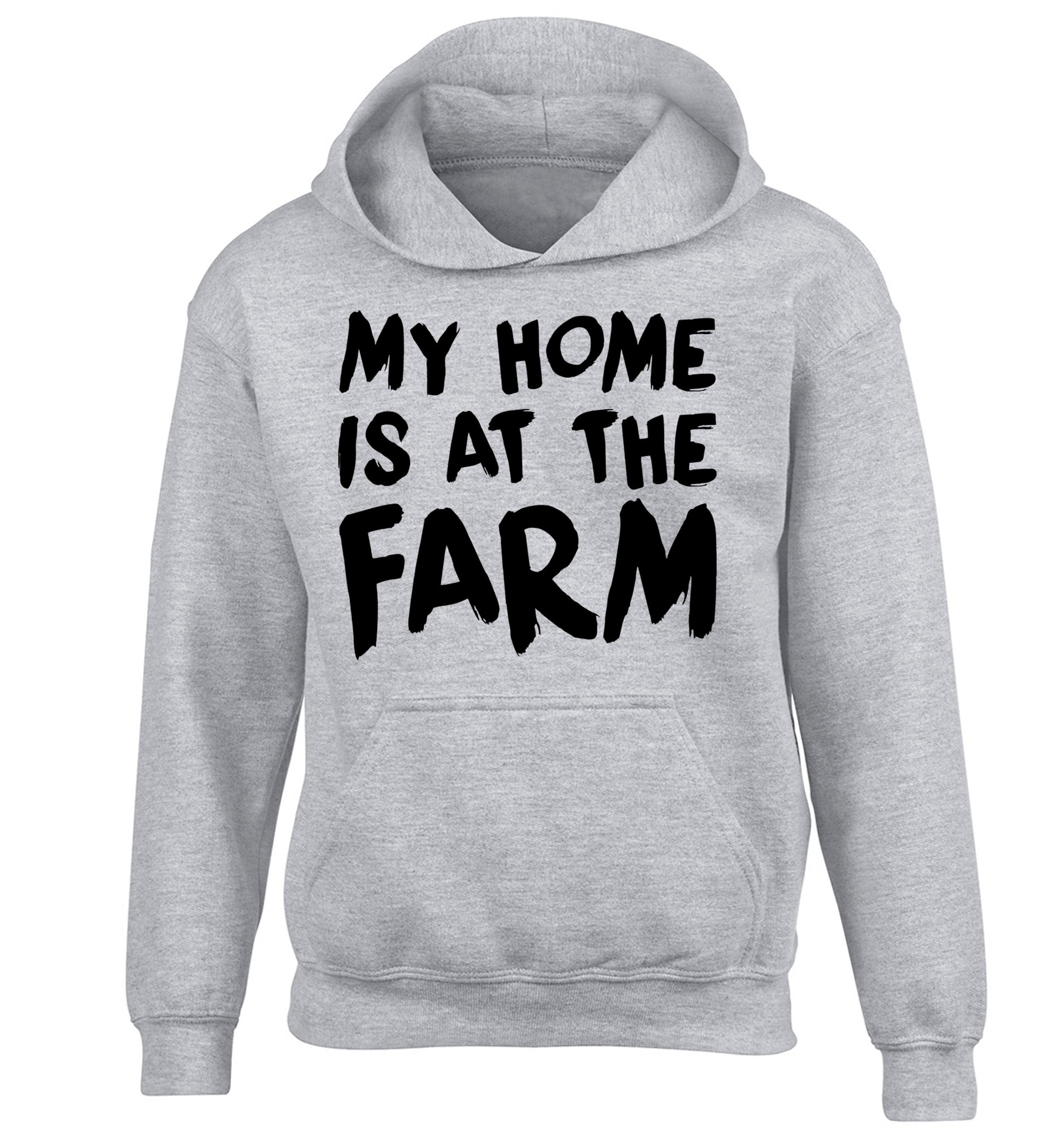 My home is at the farm children's grey hoodie 12-14 Years