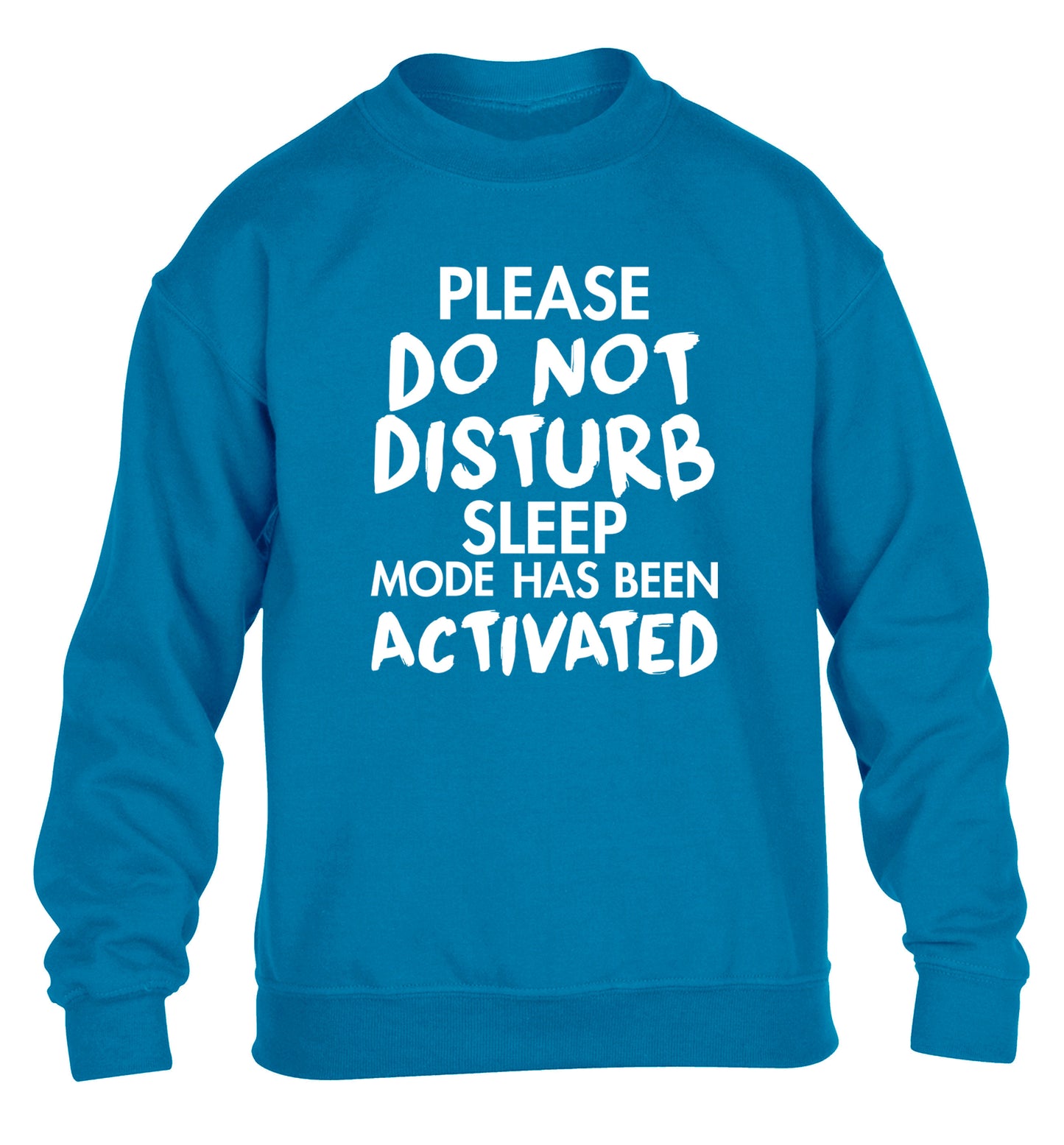 Please do not disturb sleeping mode has been activated children's blue sweater 12-14 Years