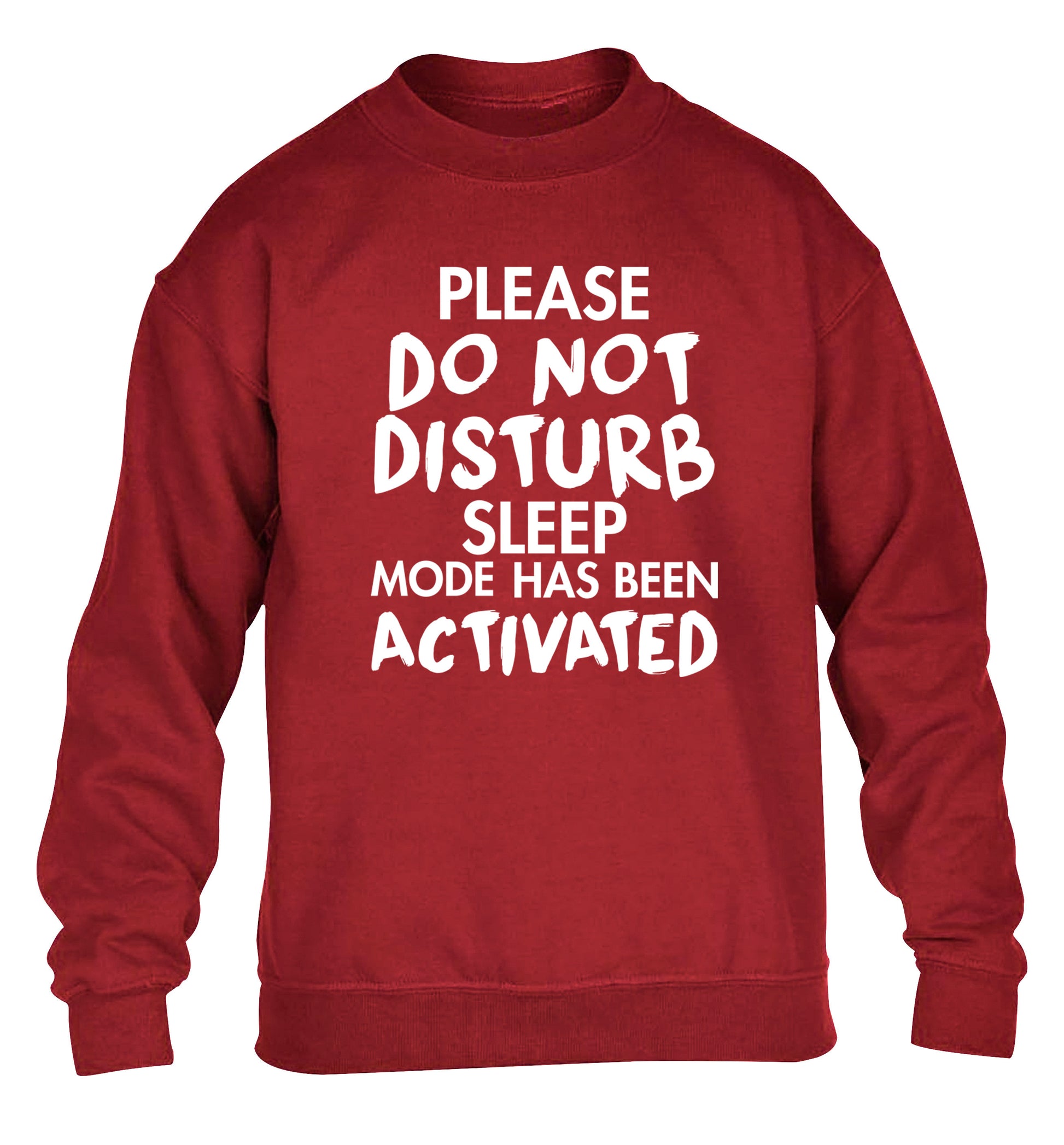 Please do not disturb sleeping mode has been activated children's grey sweater 12-14 Years
