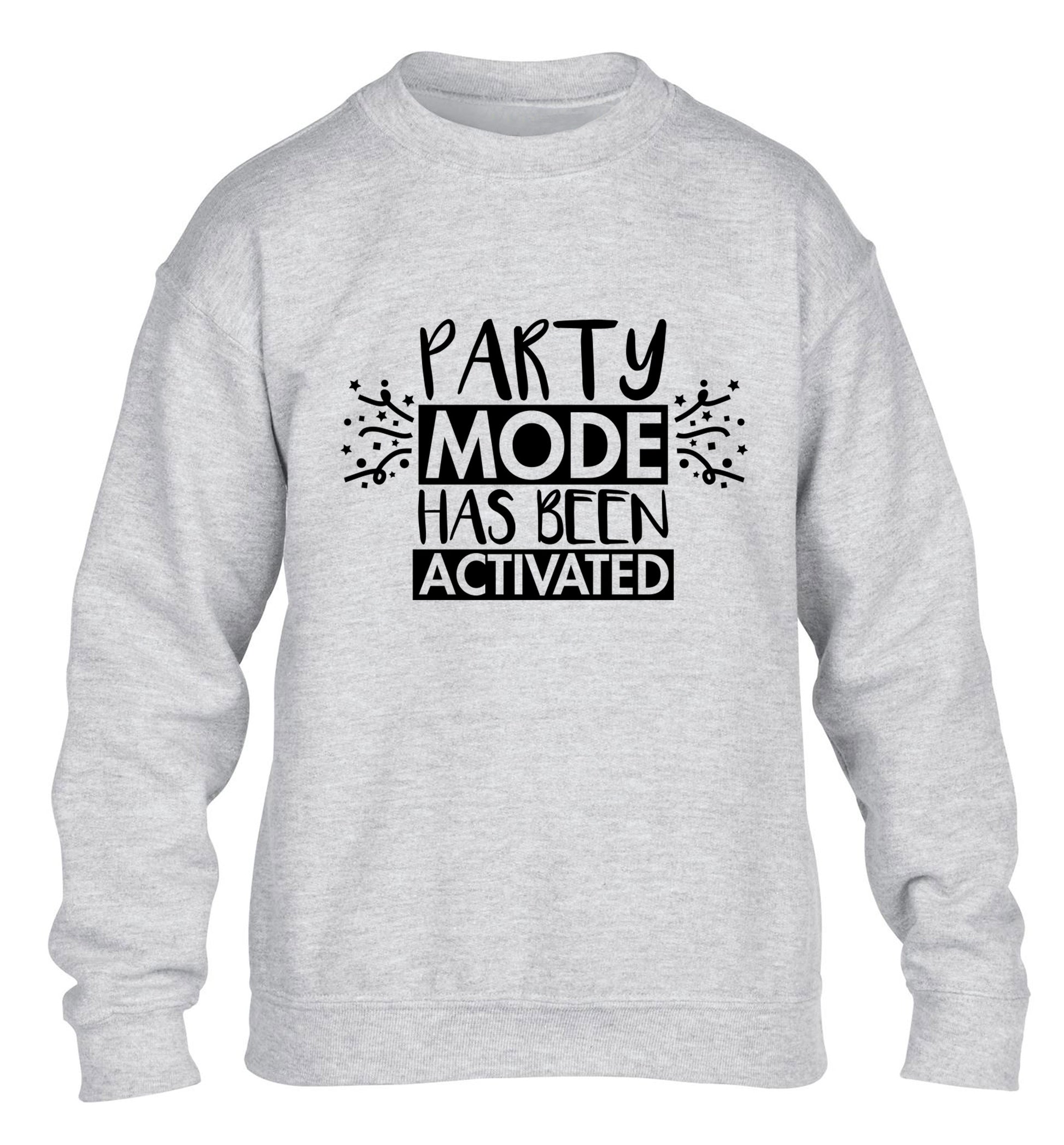 Please do not disturb party mode has been activated children's grey sweater 12-14 Years