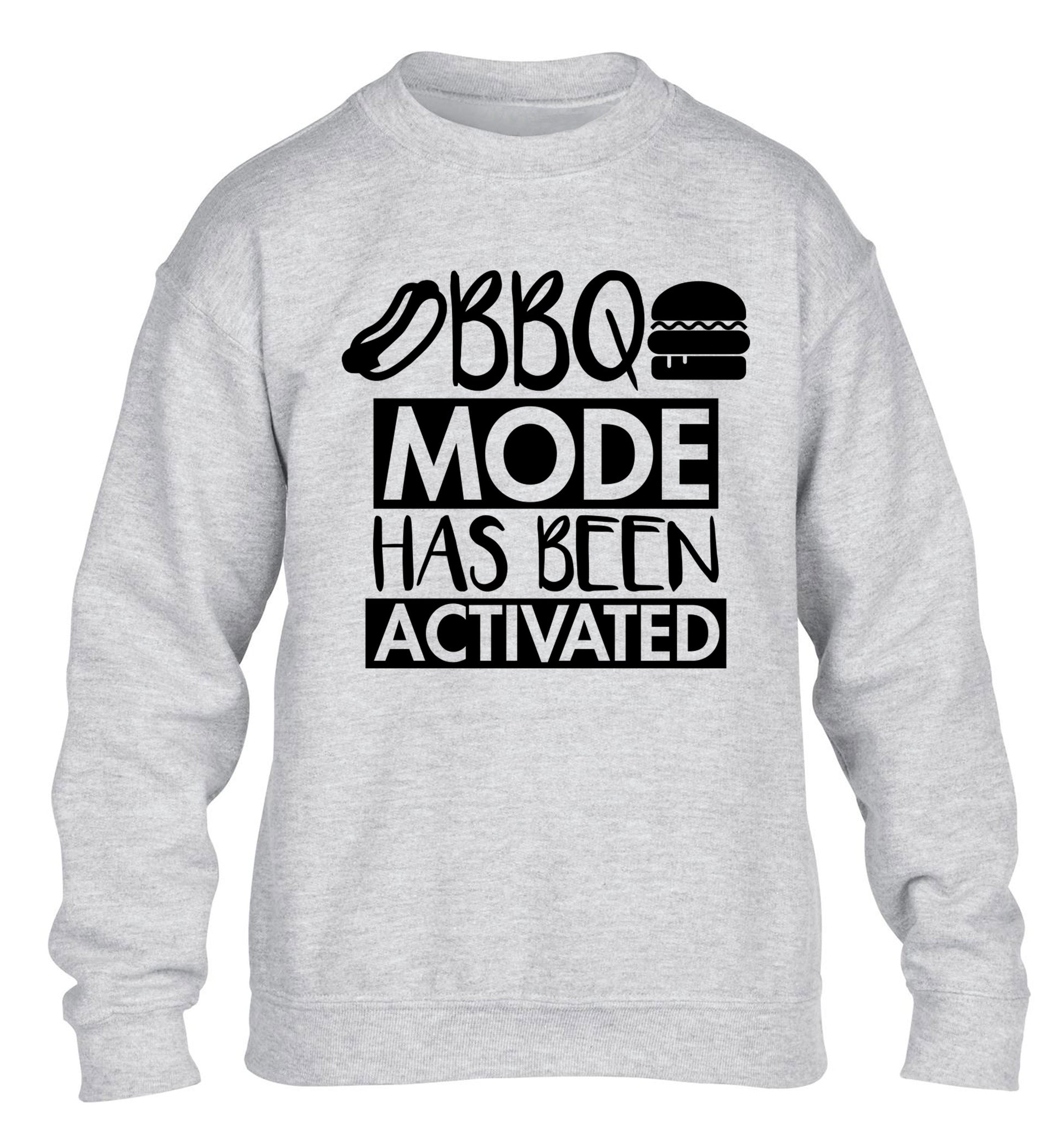 Bbq mode has been activated children's grey sweater 12-14 Years