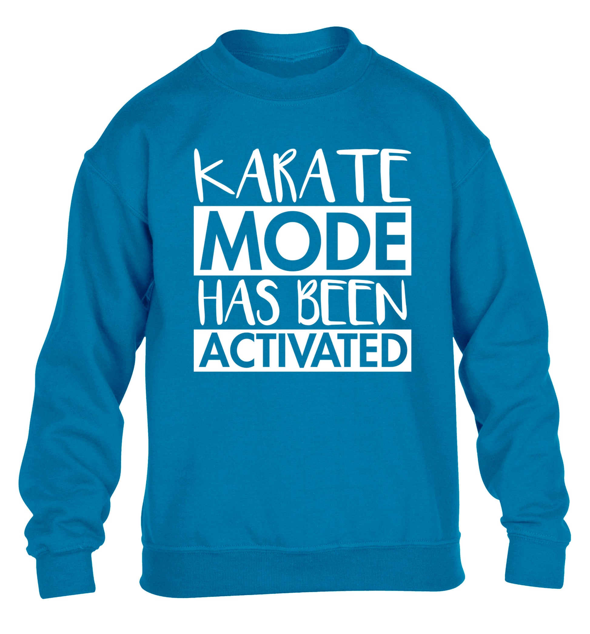 Karate mode activated children's blue sweater 12-14 Years