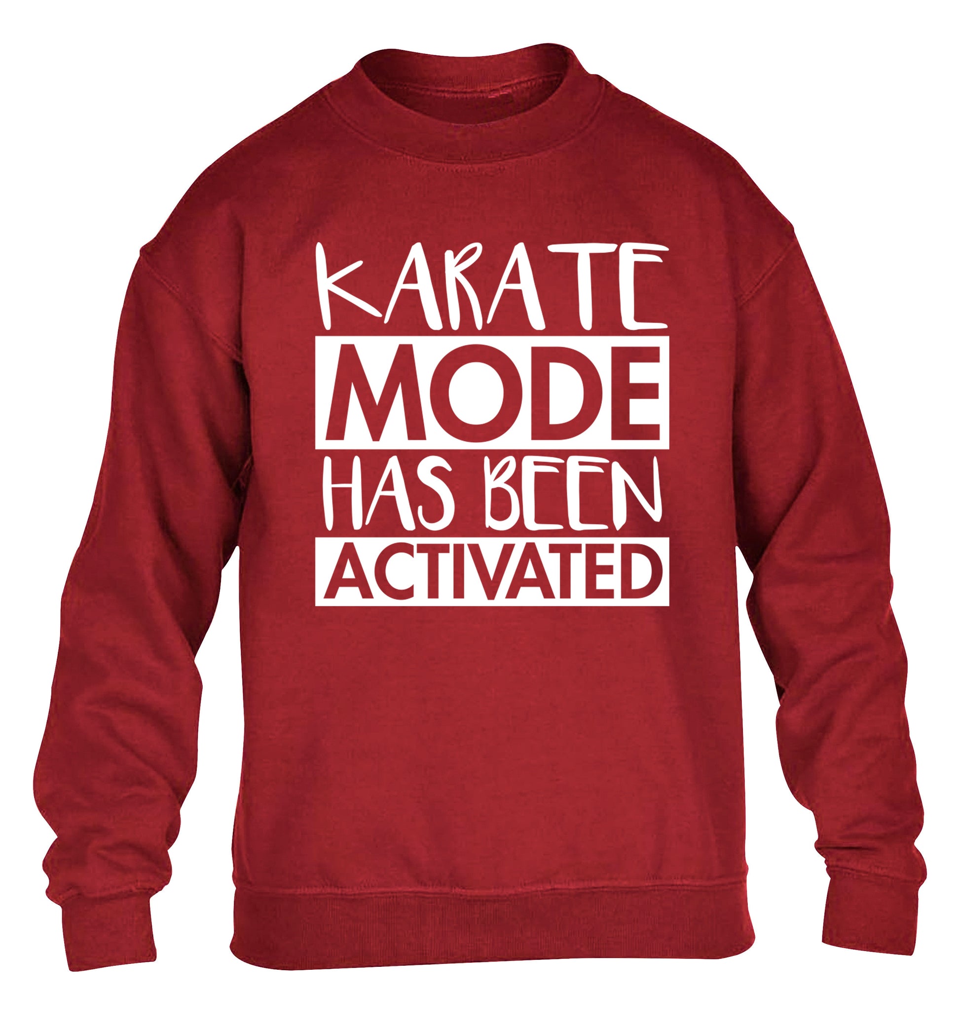 Karate mode activated children's grey sweater 12-14 Years