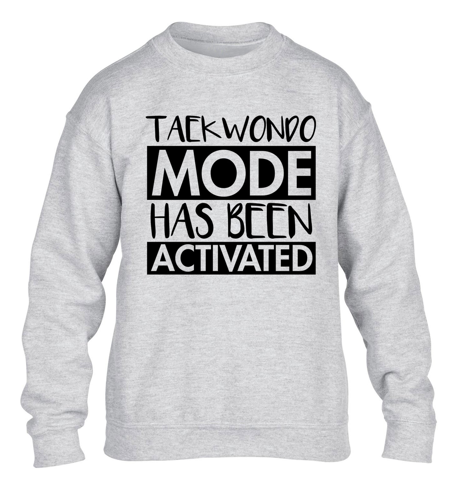 Taekwondo mode activated children's grey sweater 12-14 Years