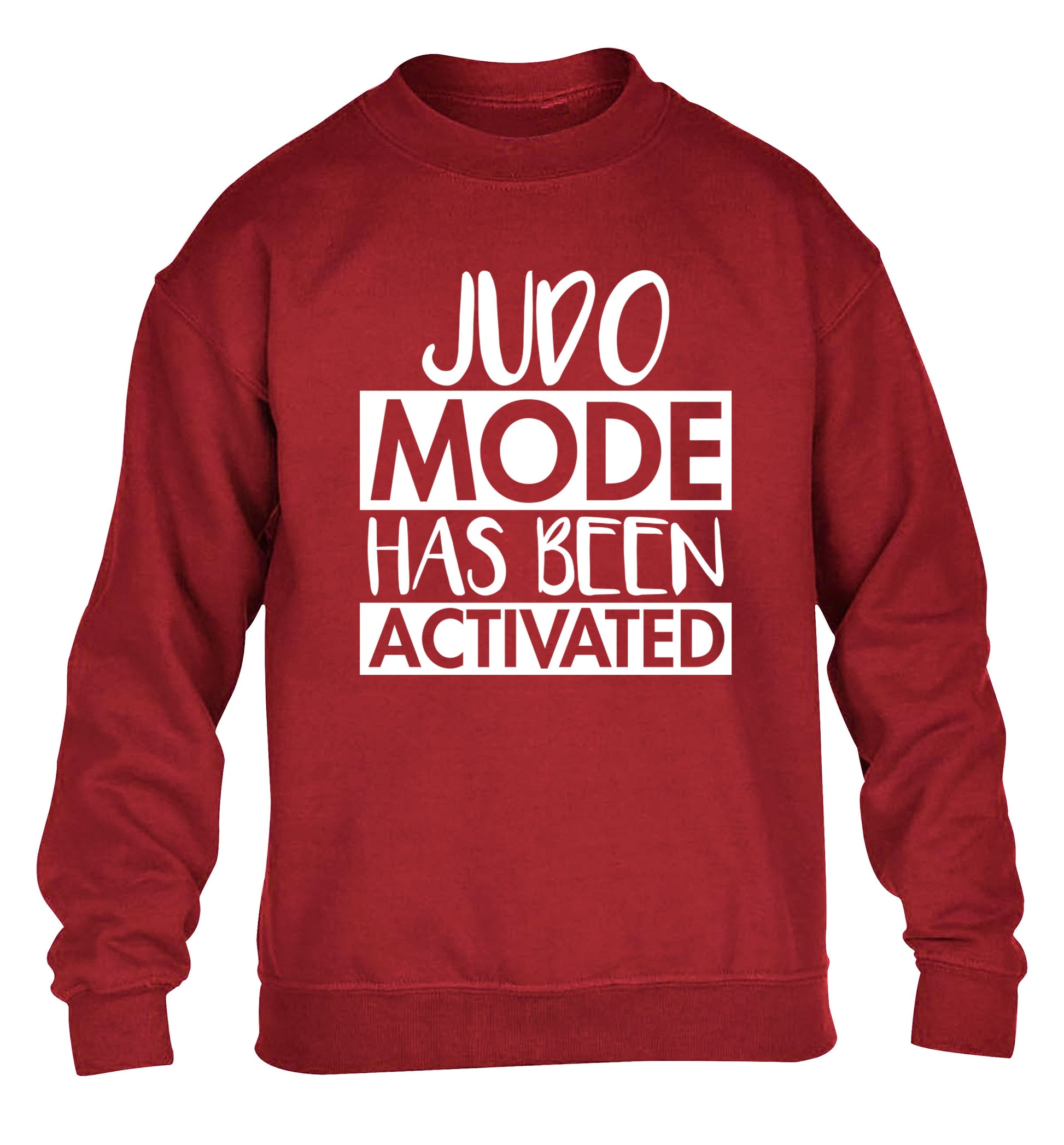 Judo mode activated children's grey sweater 12-14 Years