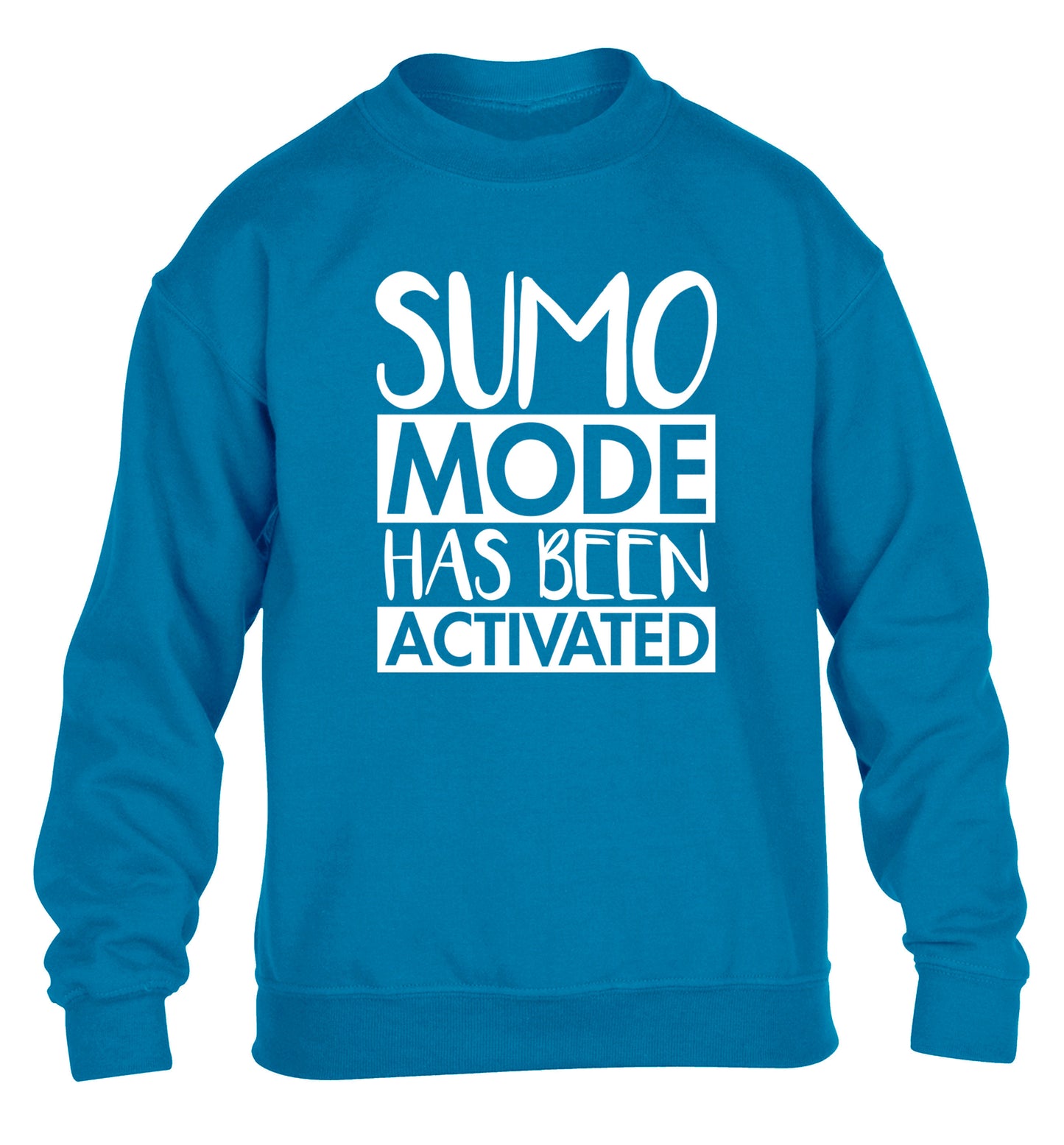 Sumo mode activated children's blue sweater 12-14 Years
