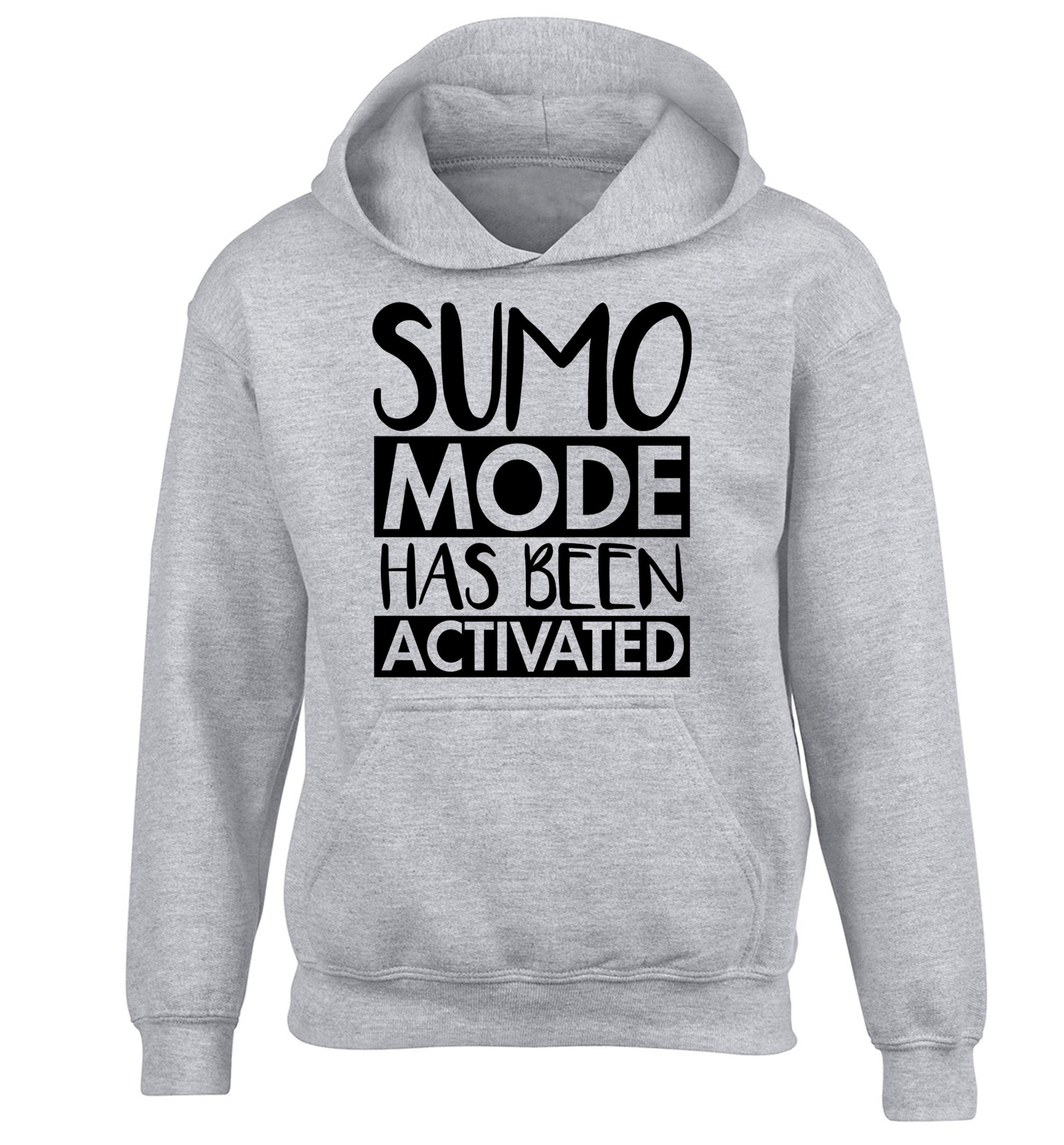 Sumo mode activated children's grey hoodie 12-14 Years