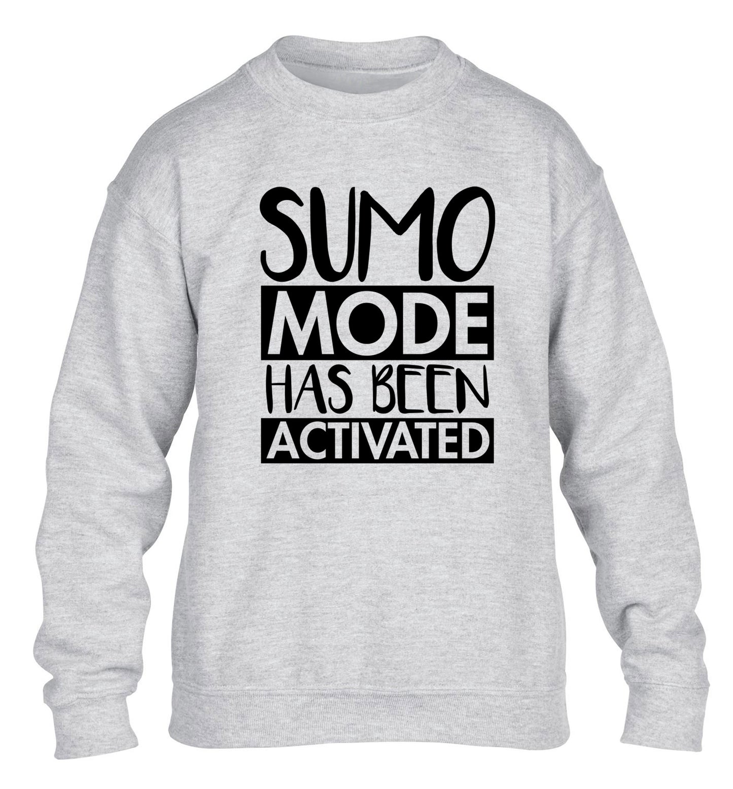 Sumo mode activated children's grey sweater 12-14 Years