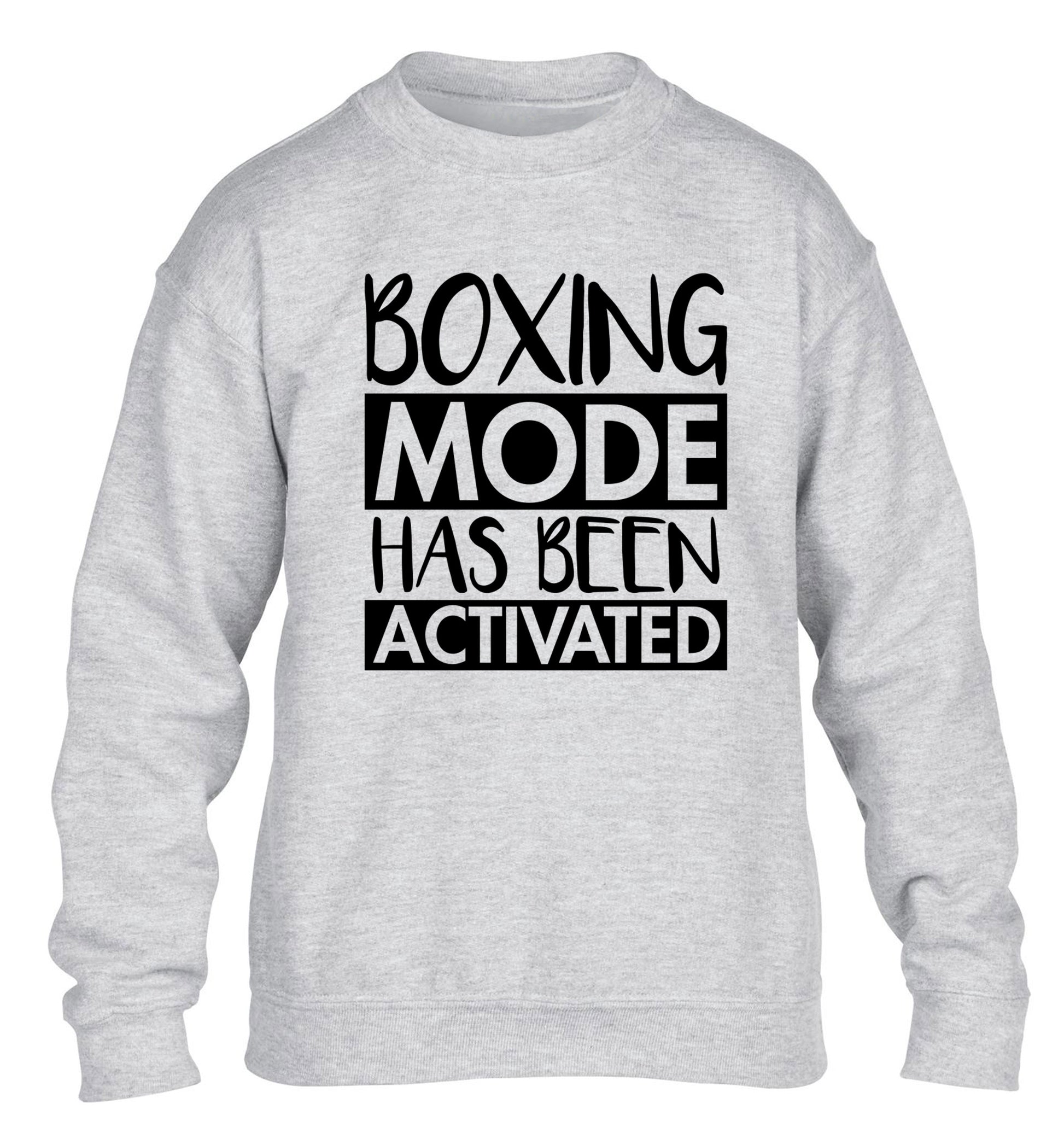 Boxing mode activated children's grey sweater 12-14 Years