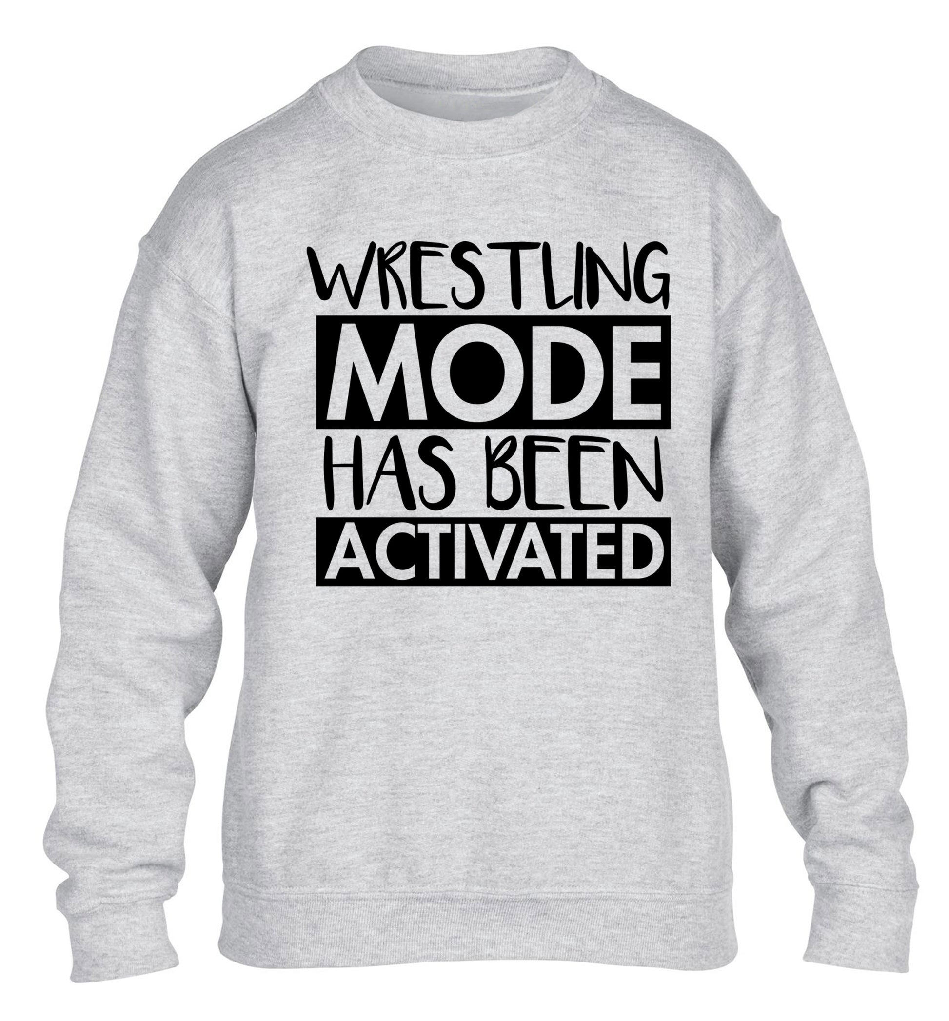 Wresting mode activated children's grey sweater 12-14 Years