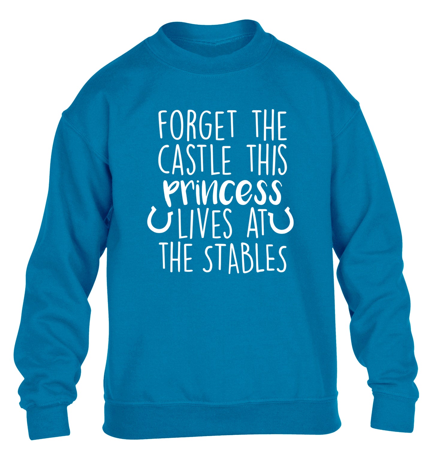 Forget the castle this princess lives at the stables children's blue sweater 12-14 Years