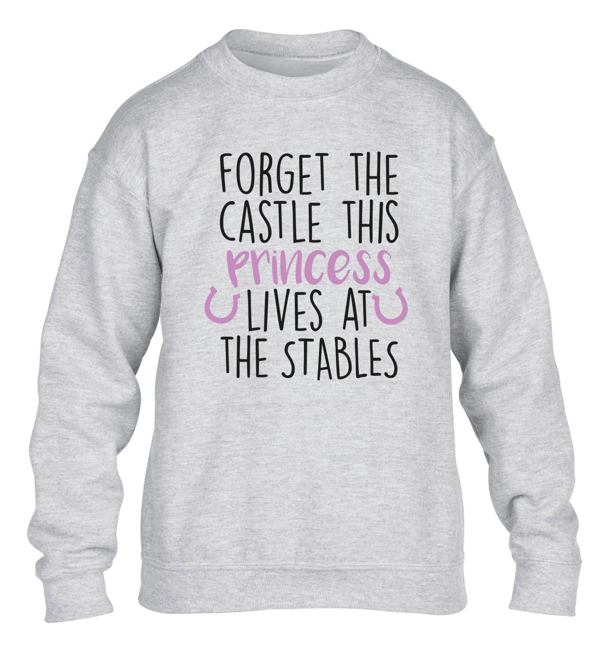 Forget the castle this princess lives at the stables children's grey sweater 12-14 Years