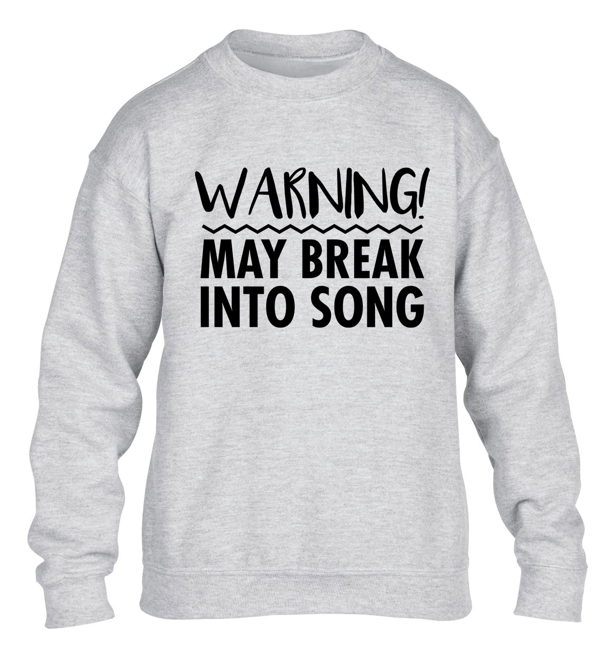 Warning may break into song children's grey sweater 12-14 Years