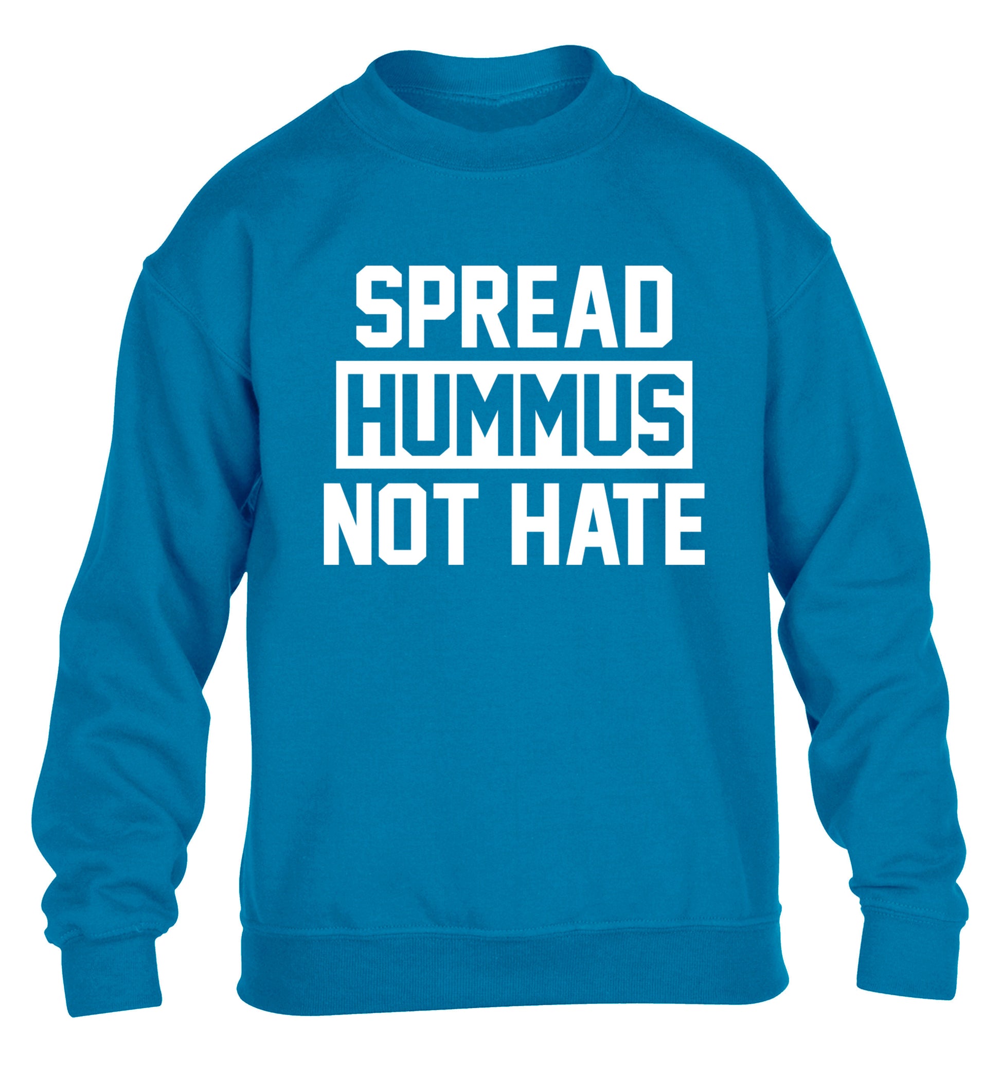 Spread hummus not hate children's blue sweater 12-14 Years
