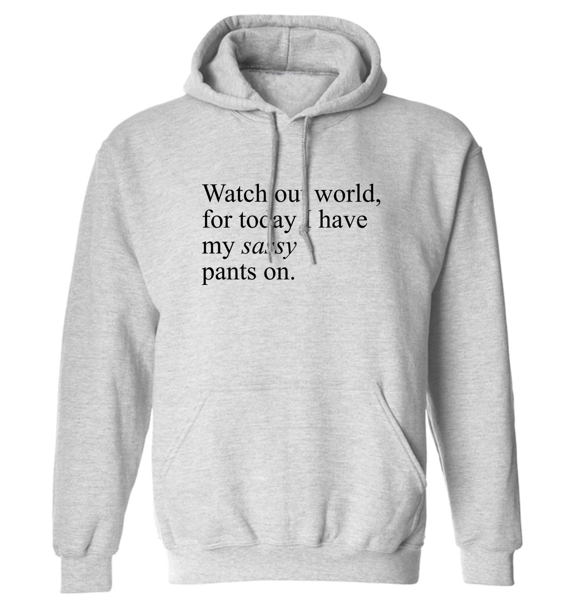 Watch out world for today I have my sassy pants on adults unisex grey hoodie 2XL