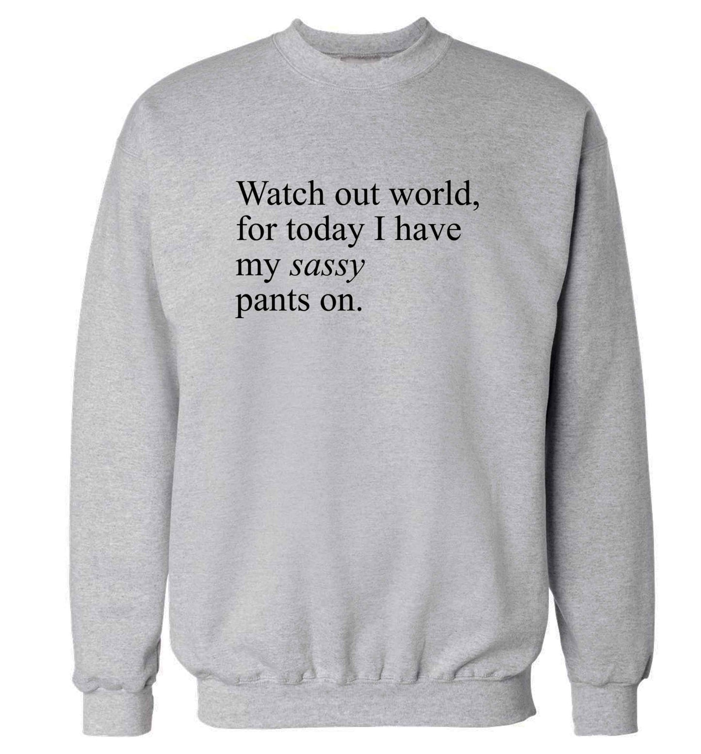 Watch out world for today I have my sassy pants on adult's unisex grey sweater 2XL