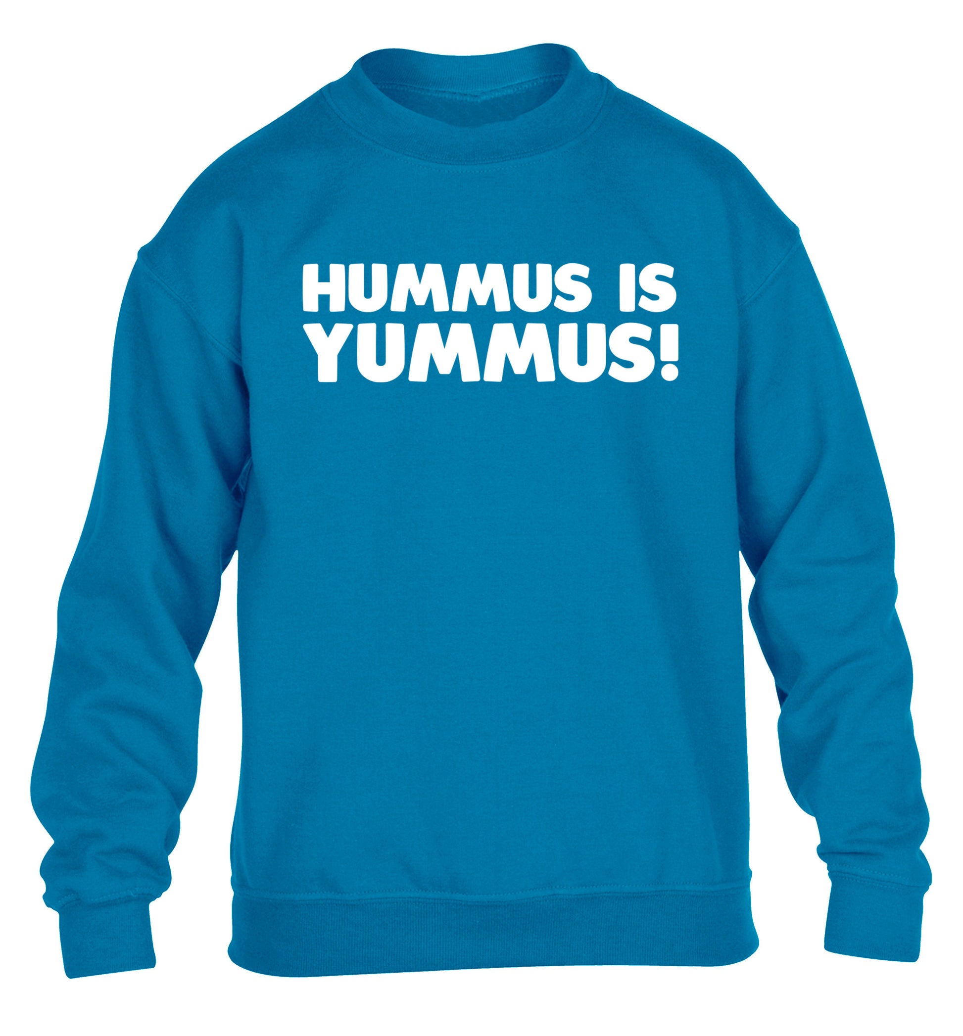 Hummus is Yummus  children's blue sweater 12-14 Years