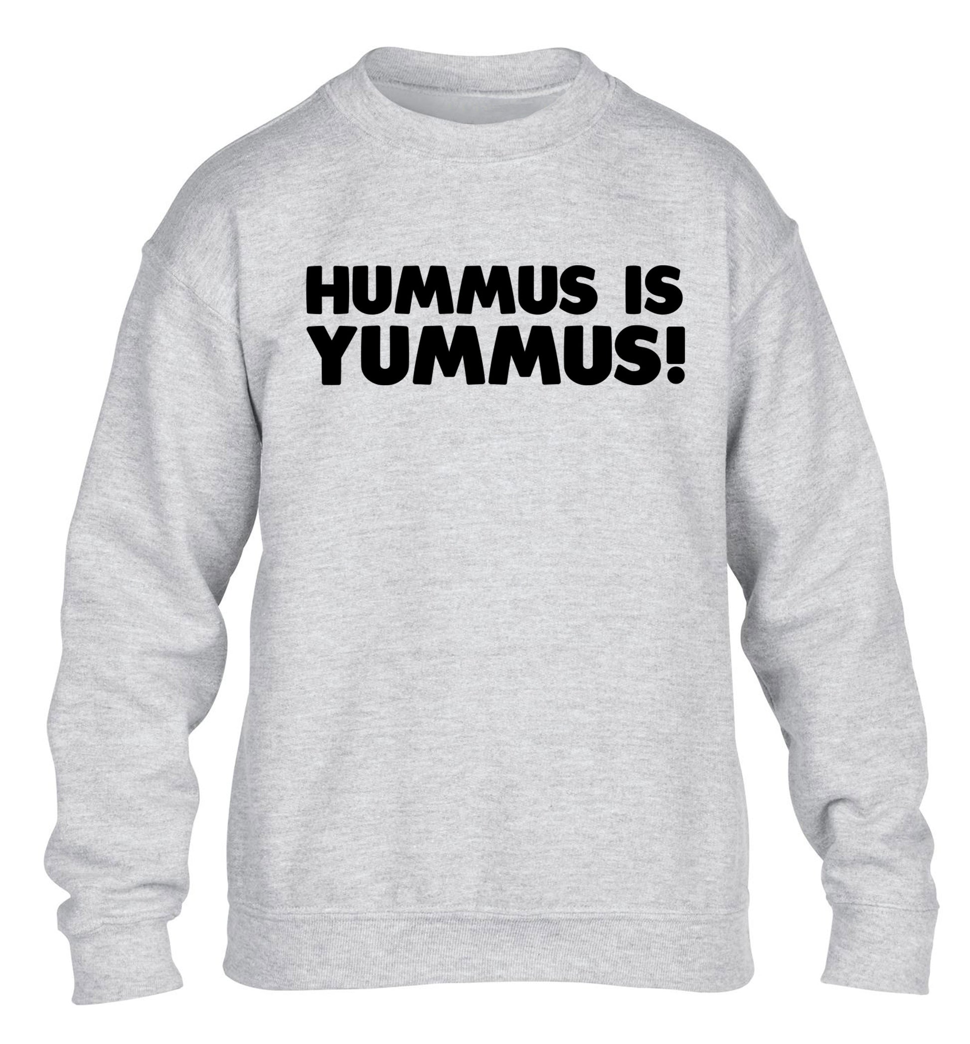 Hummus is Yummus  children's grey sweater 12-14 Years