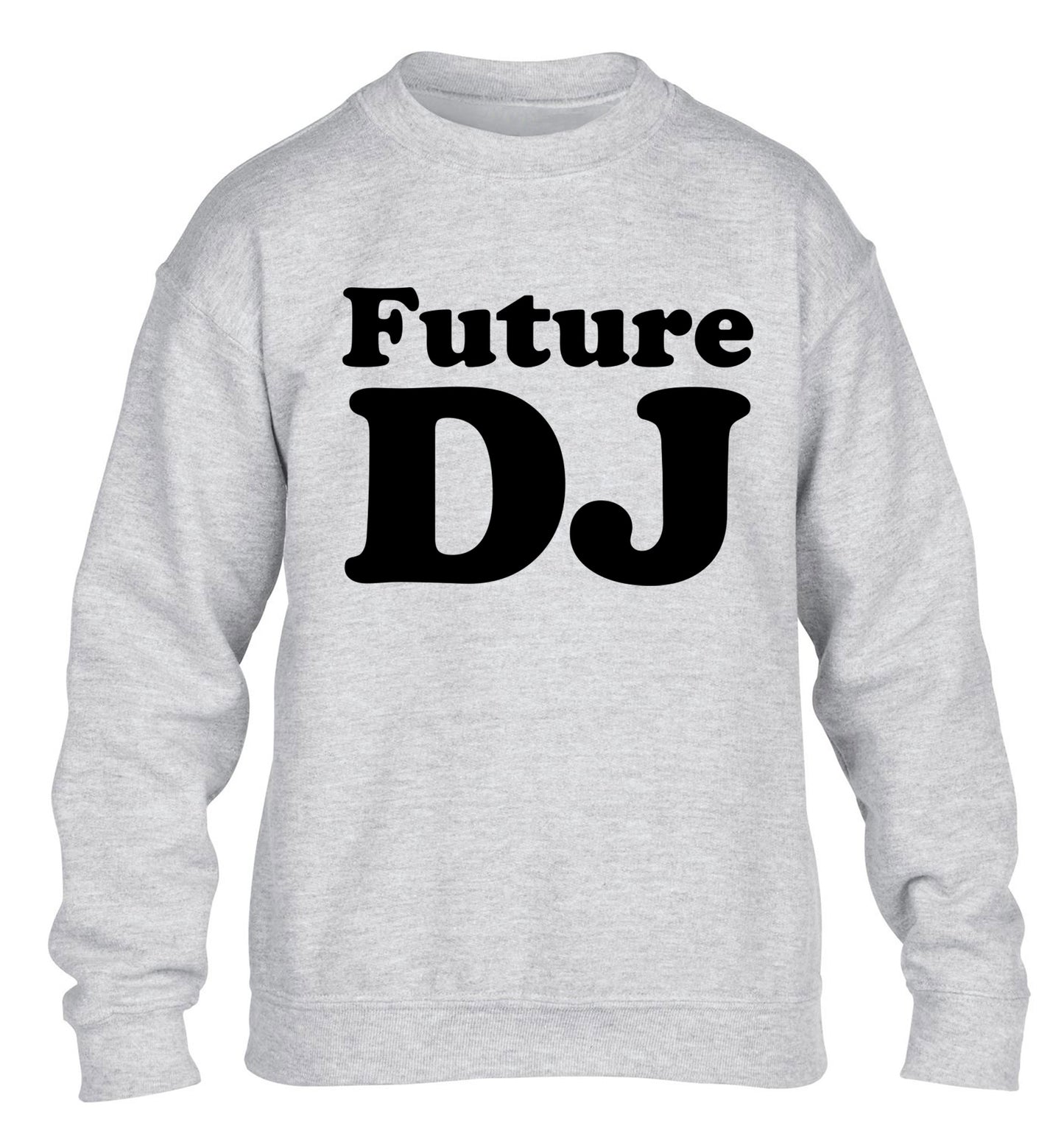 Future DJ children's grey sweater 12-14 Years
