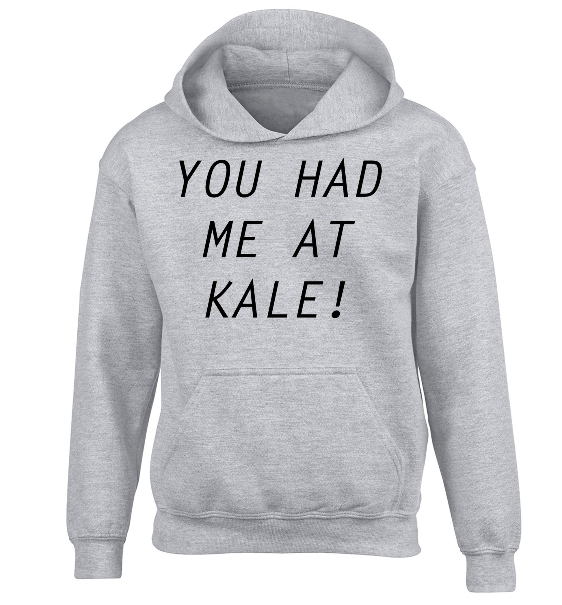 You had me at kale children's grey hoodie 12-14 Years