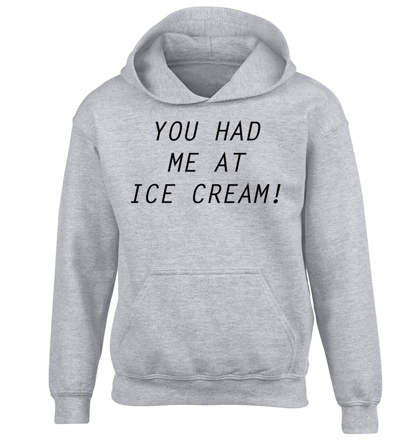 You had me at ice cream children's grey hoodie 12-14 Years