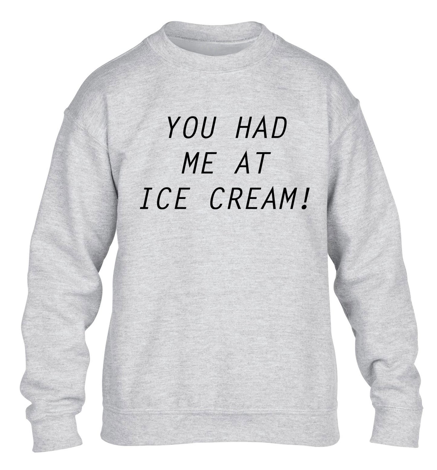 You had me at ice cream children's grey sweater 12-14 Years