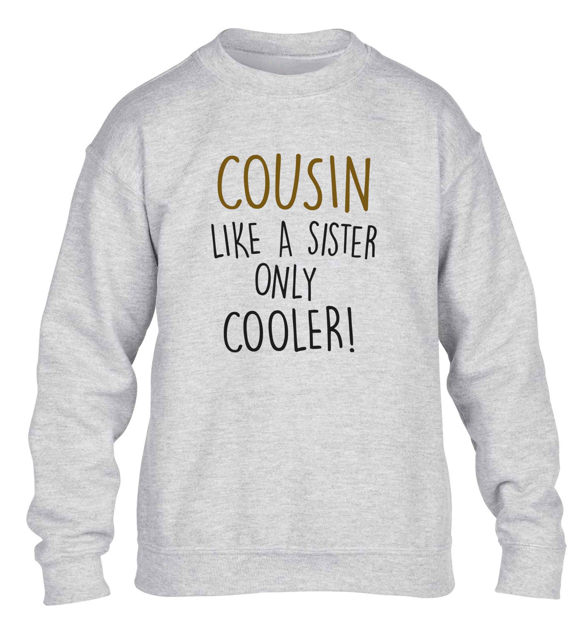 Cousin like a sister only cooler children's grey sweater 12-13 Years