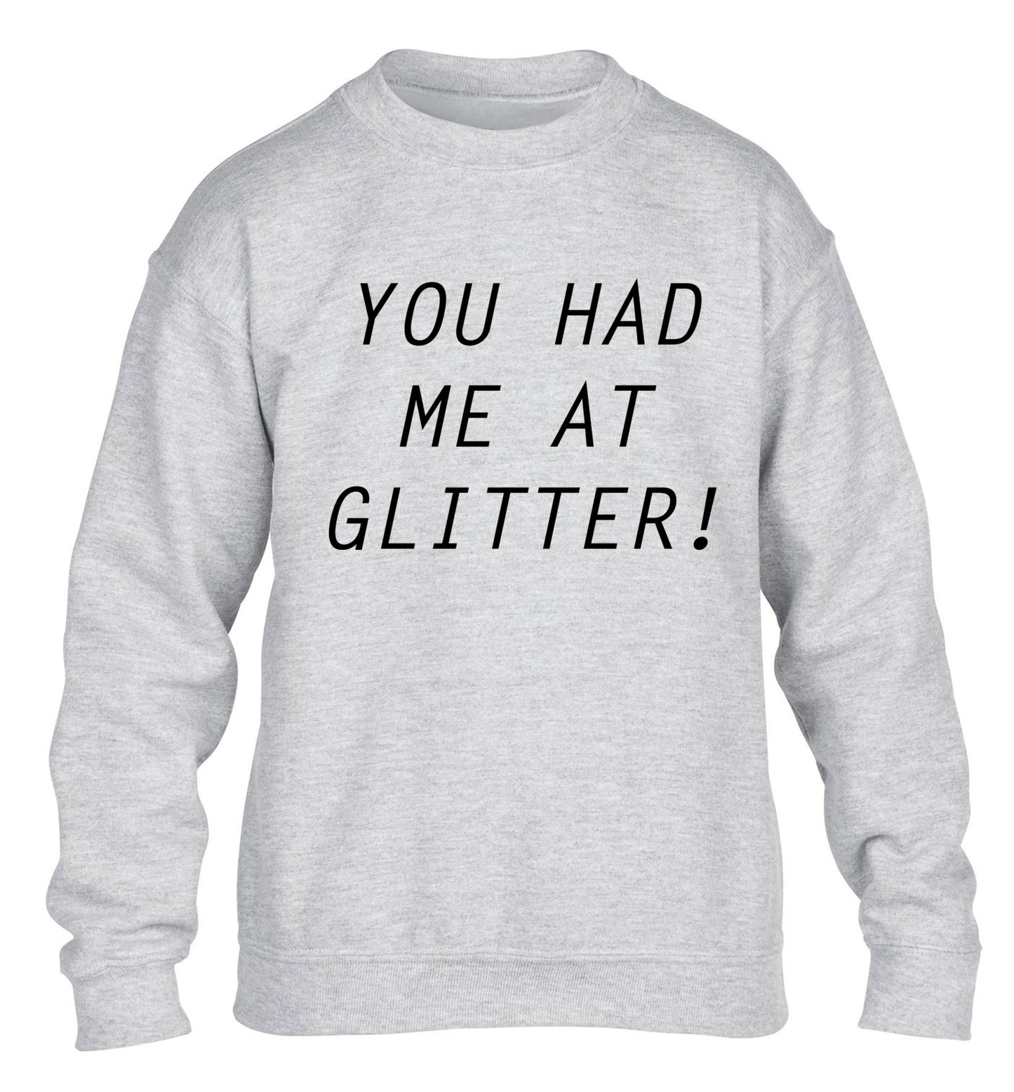 You had me at glitter children's grey sweater 12-14 Years